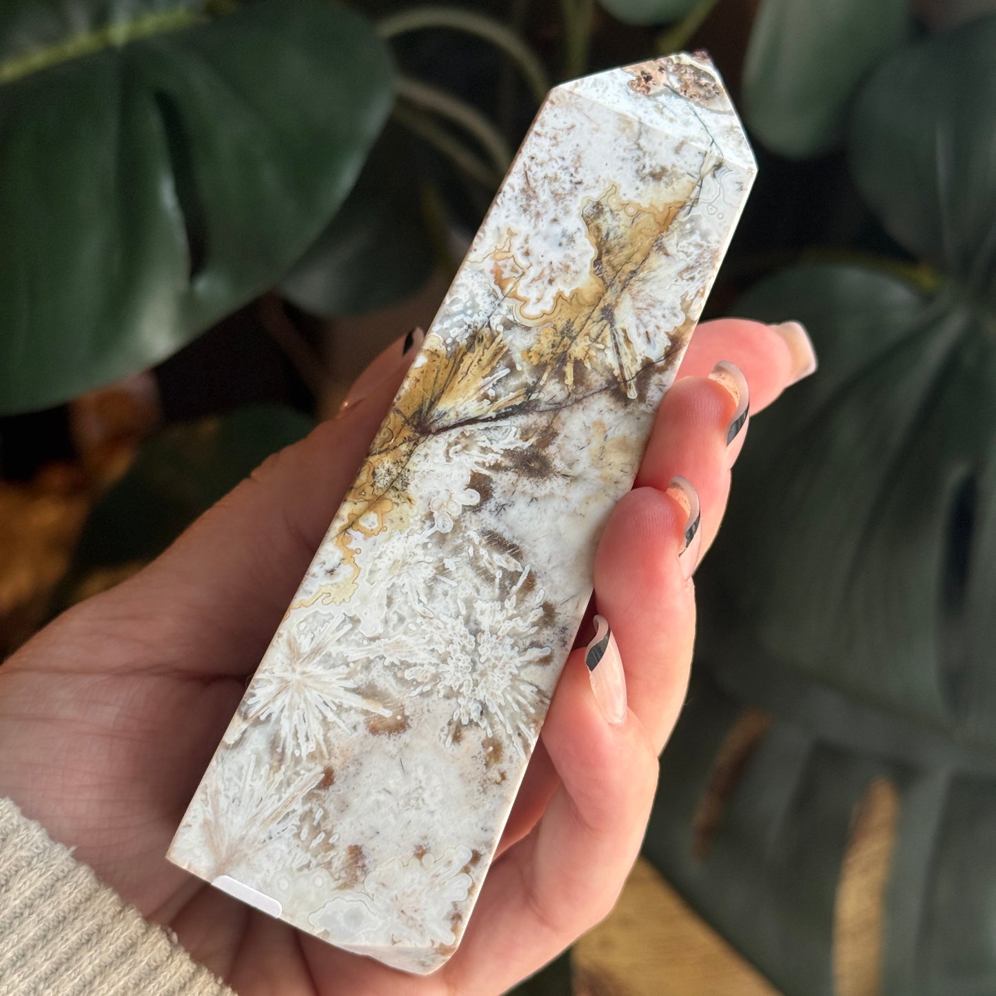 Agate Point