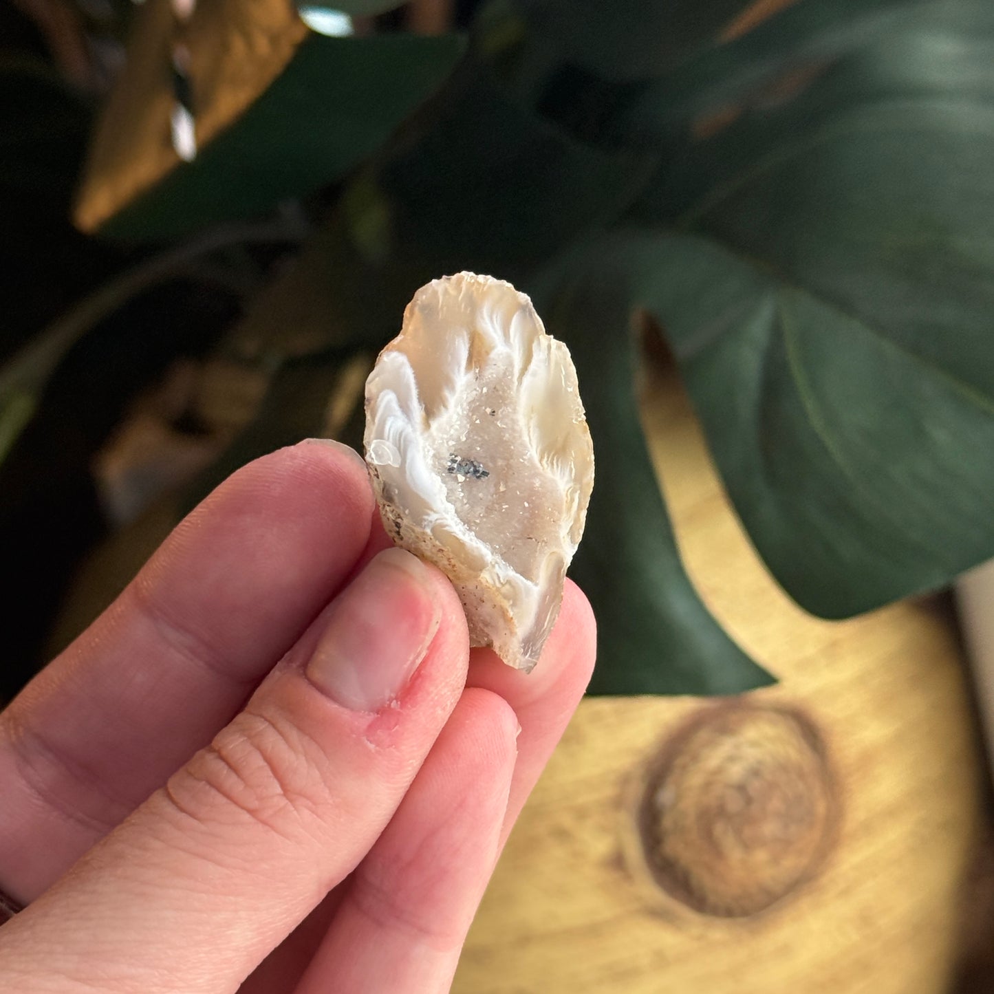 Mini Occo Agate Geode Halves