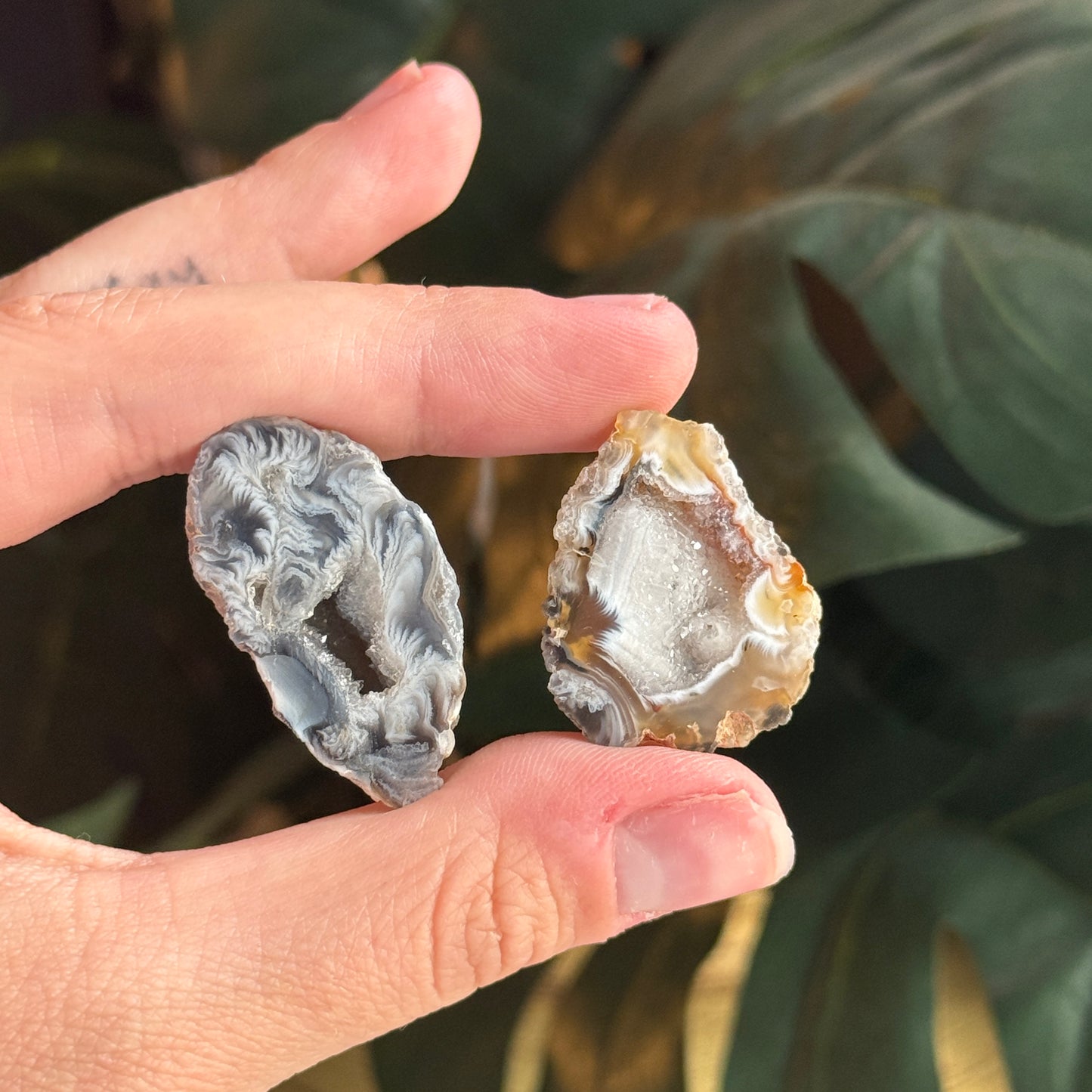 Mini Occo Agate Geode Halves