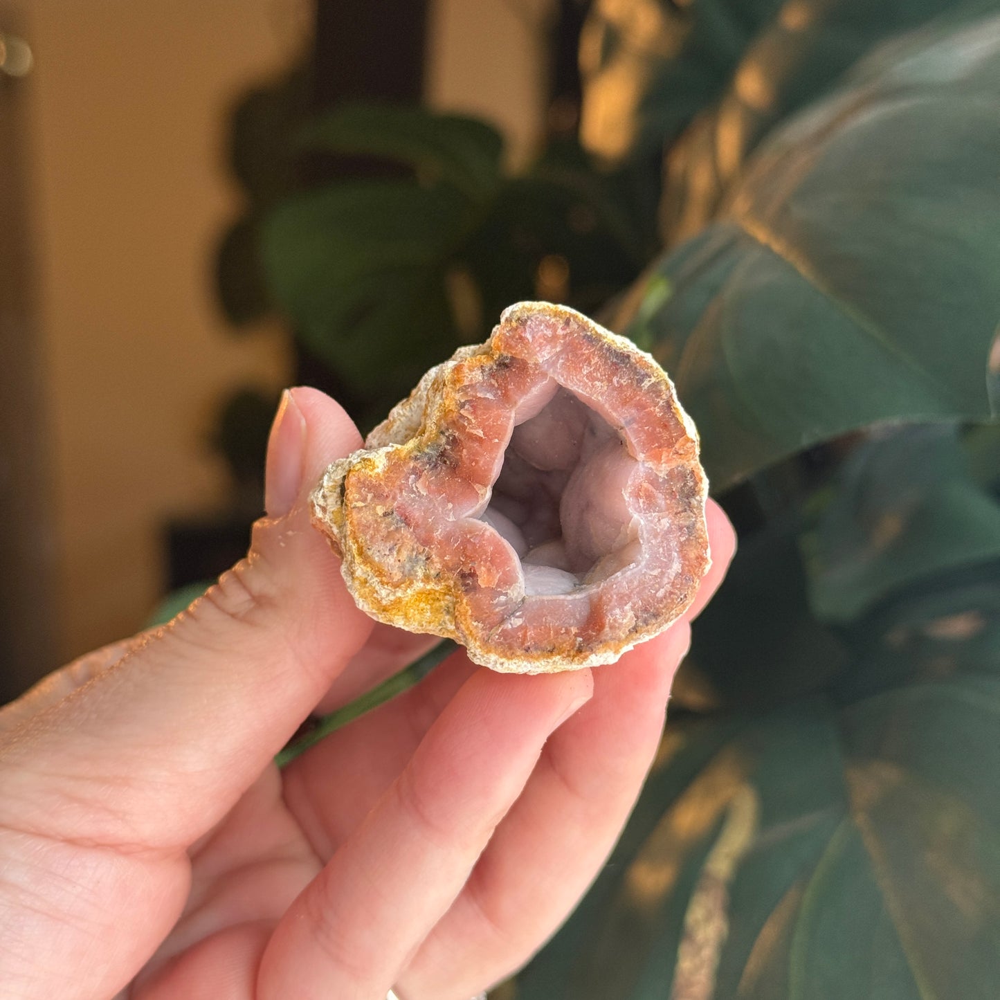 Botryoidal Chalcedony