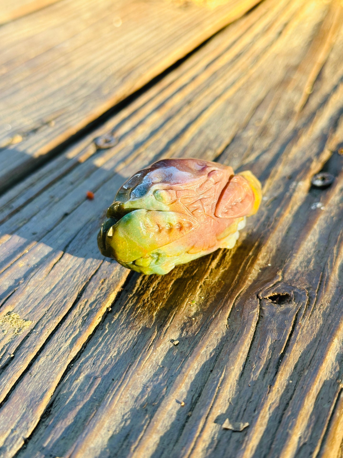 Little Jasper Crab