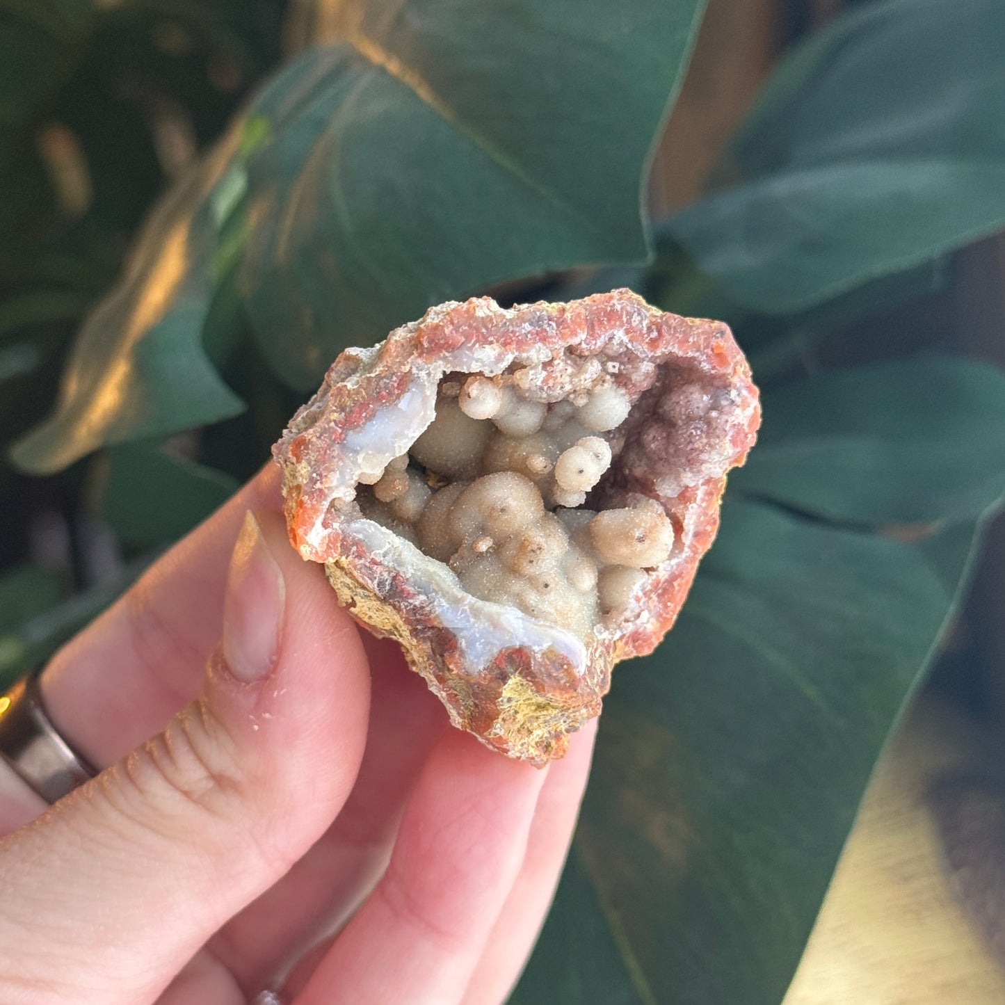 Botryoidal Chalcedony