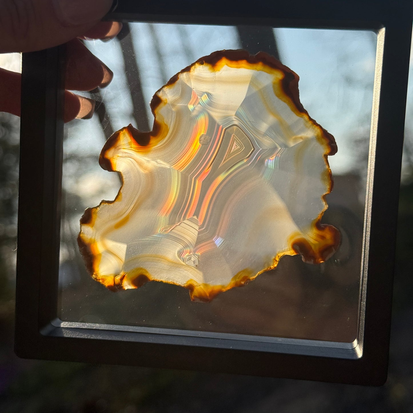 Iris Agate C