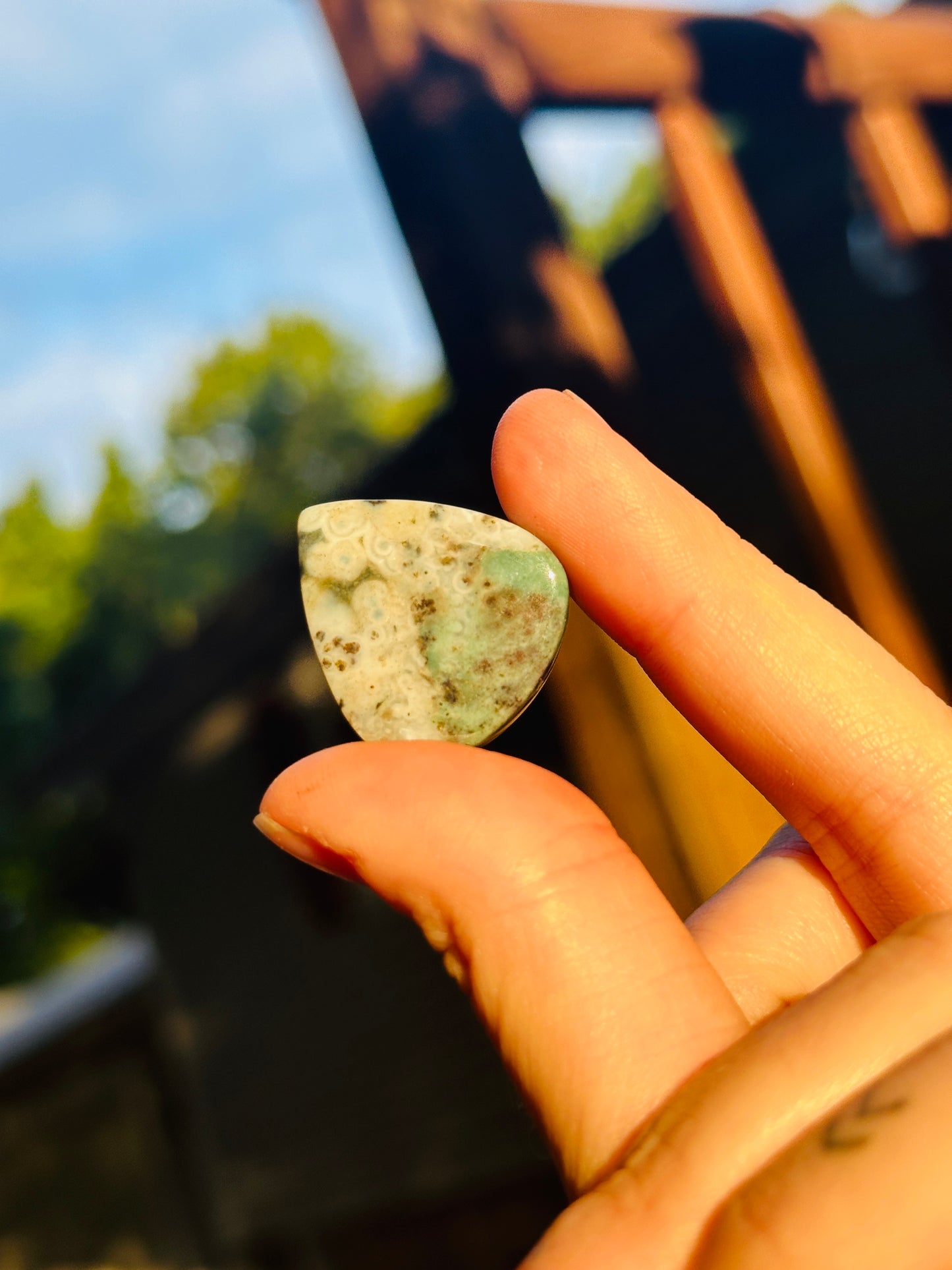 Ocean Jasper Cabochon