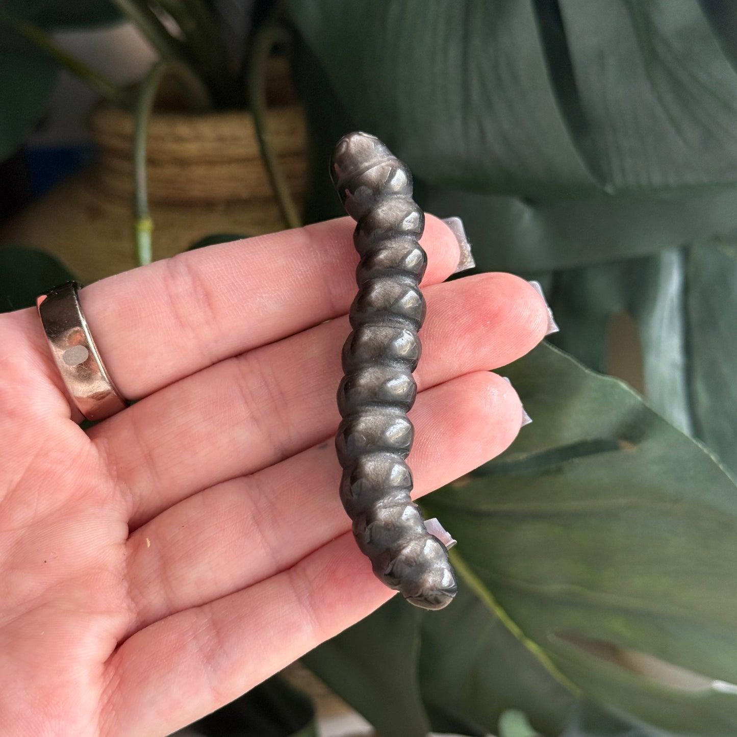 Caterpillar Carving