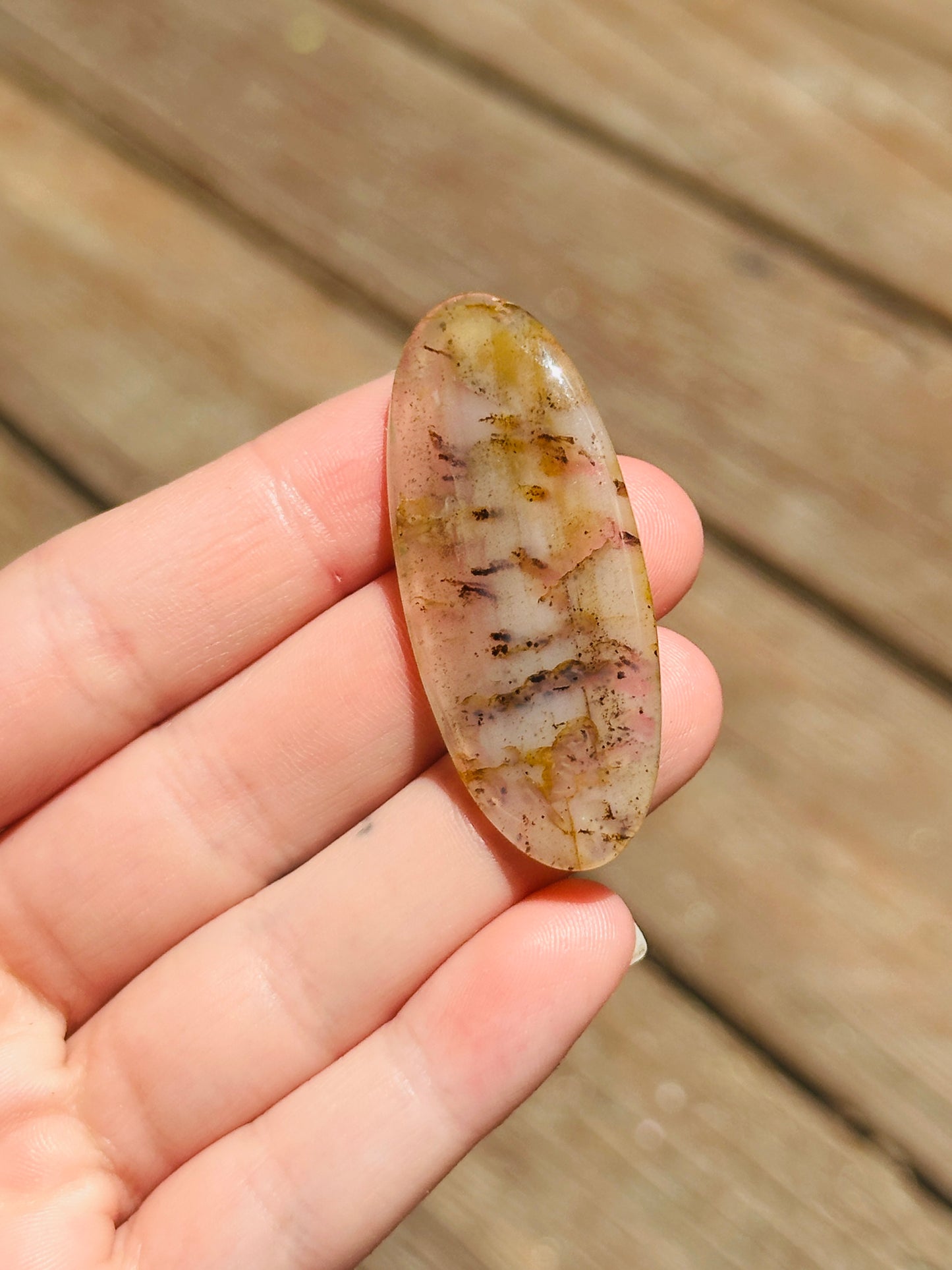 Montana Agate Cabochon