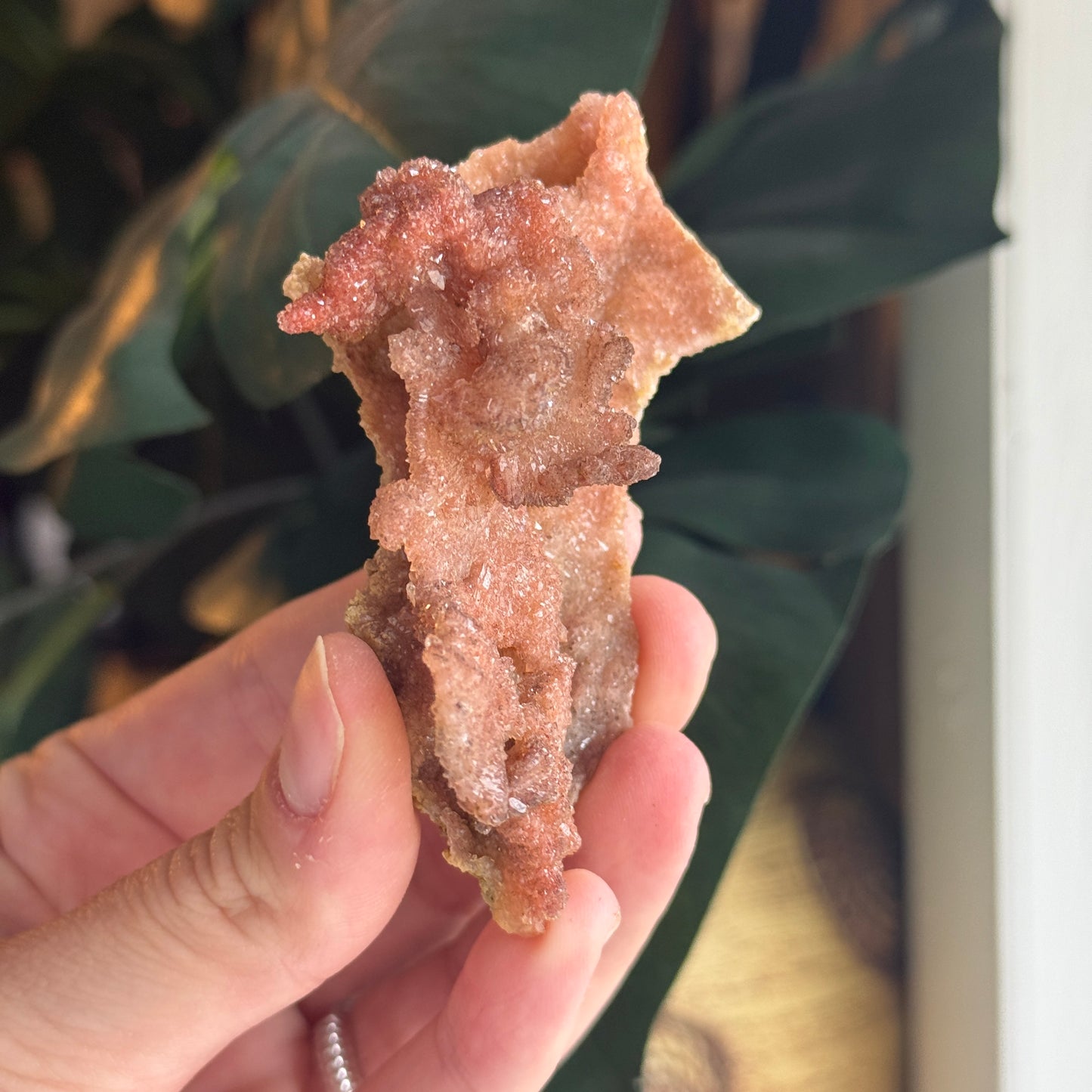 Chalcedony Raw Specimen