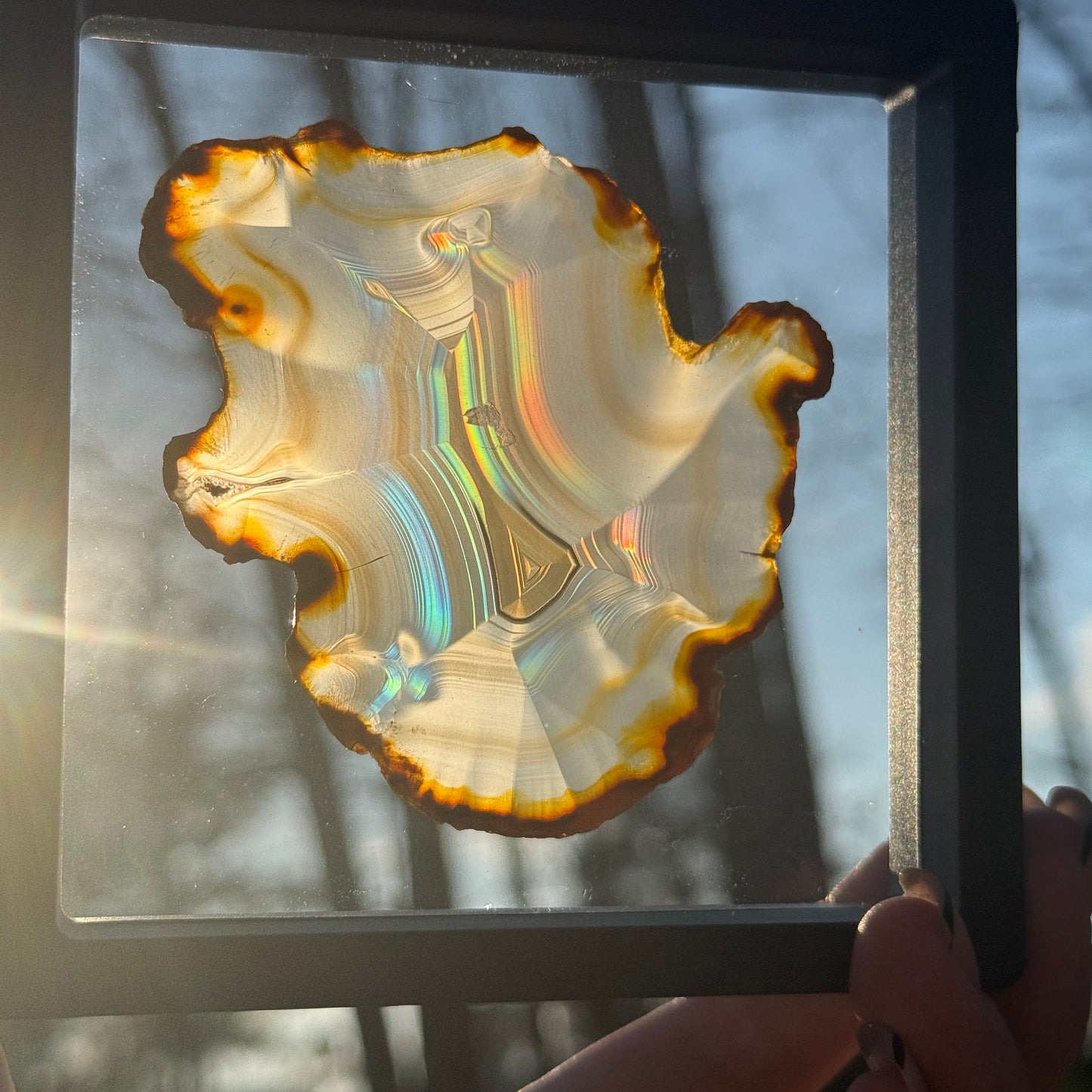 Iris Agate A