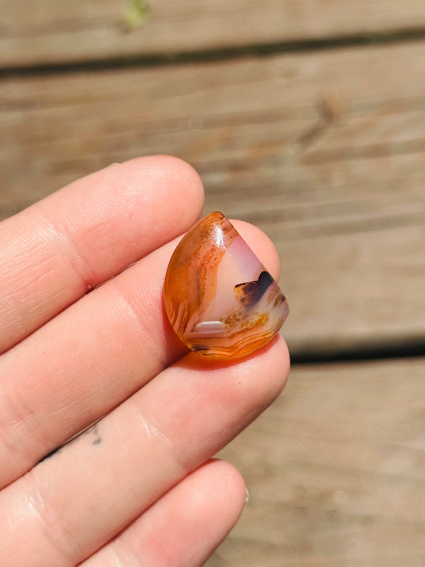 Montana Agate Cabochon