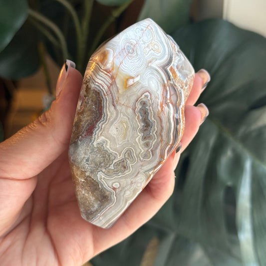 Crazy Lace Agate