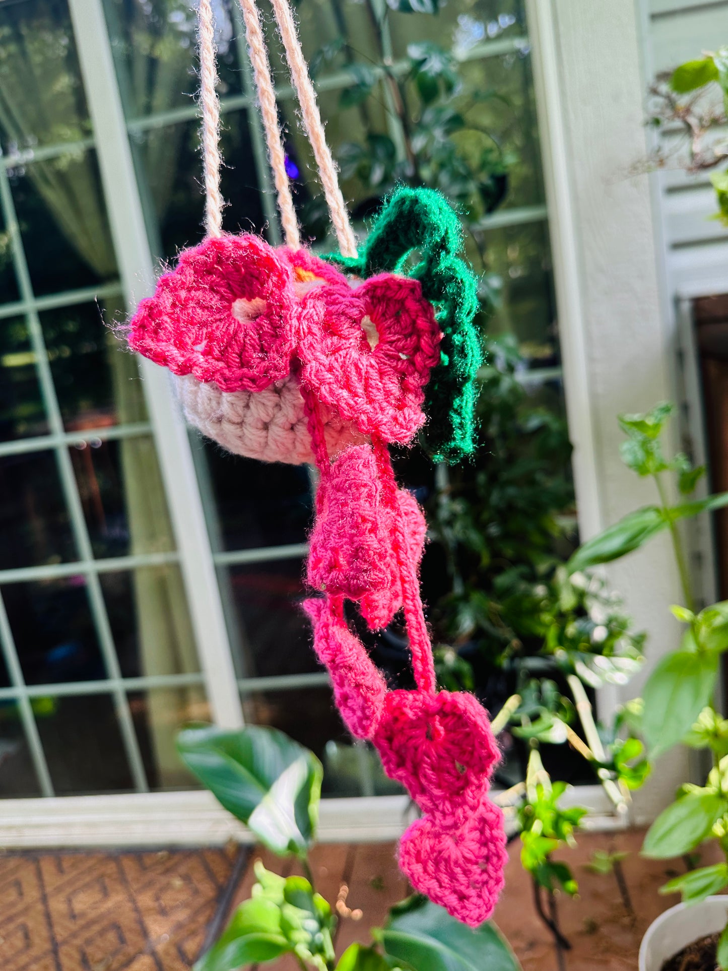 Crochet Hanging Plant