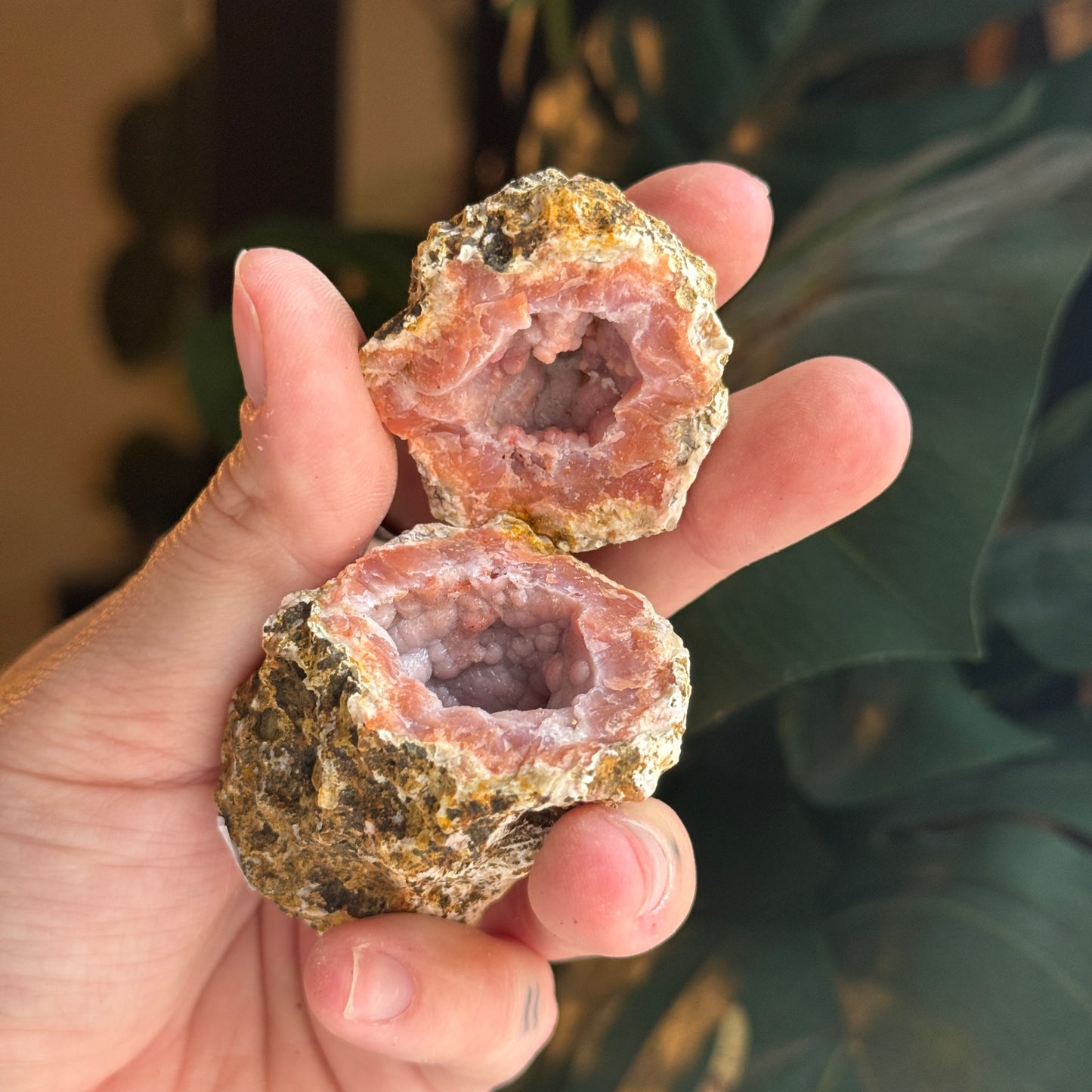 Botryoidal Chalcedony Raw Geode *PAIR*