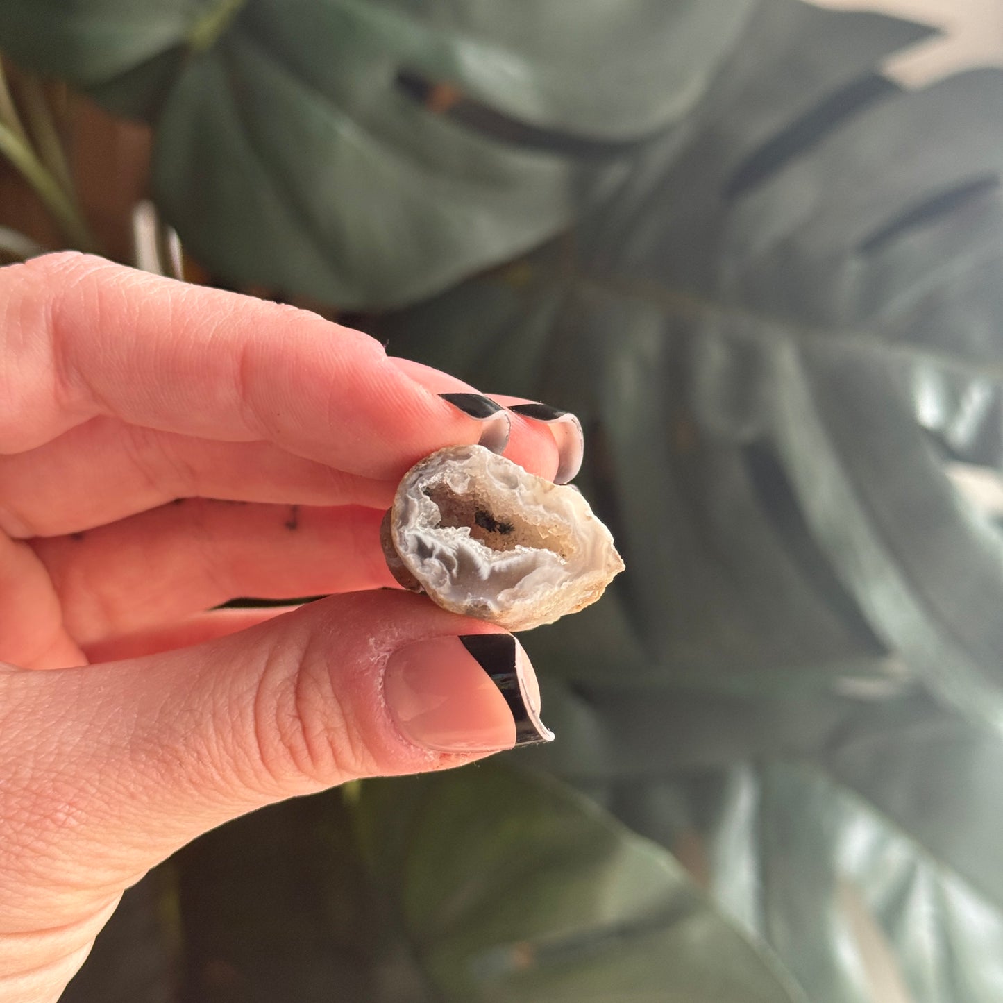 Mini Occo Agate Geode Half (tiff picks)