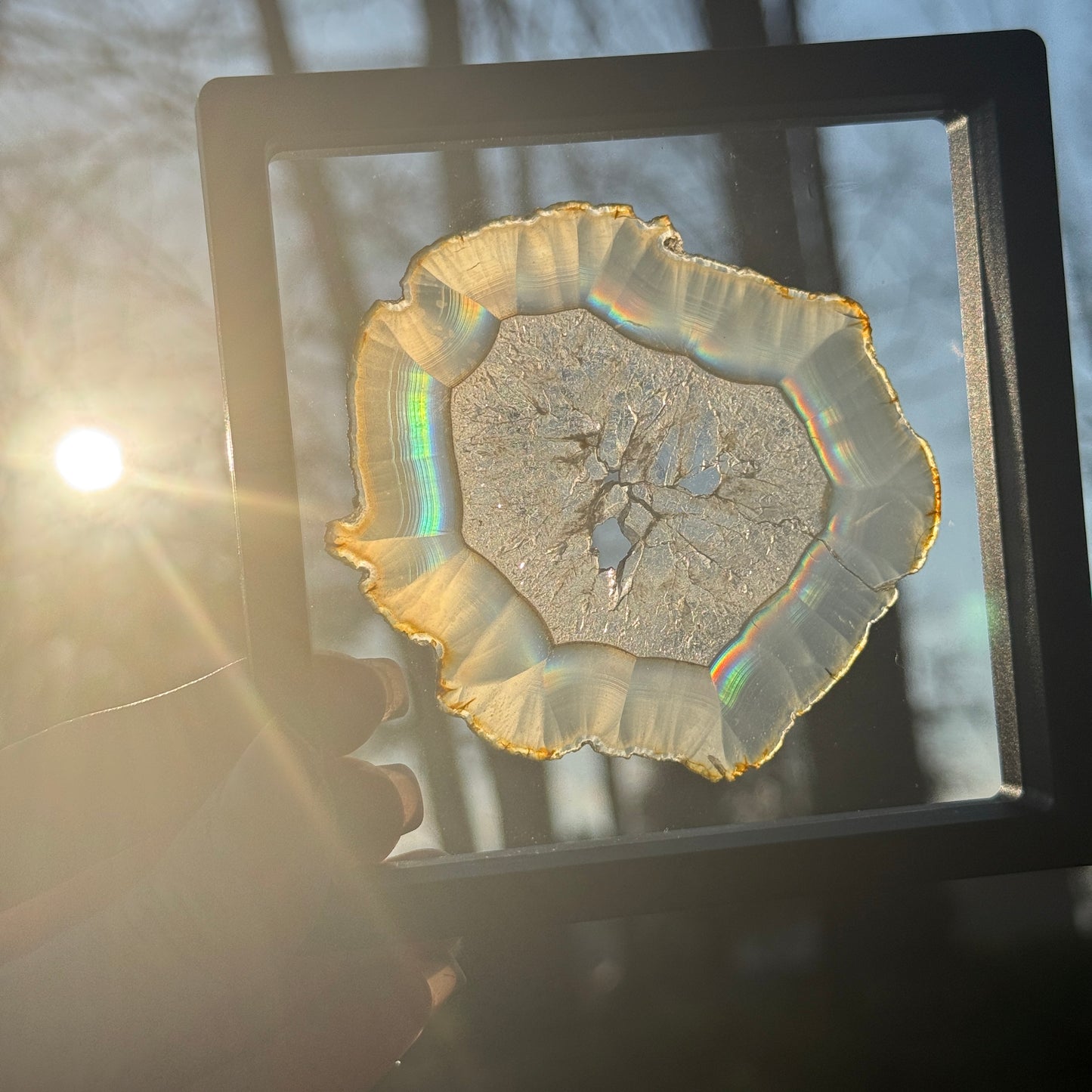 Iris Agate E