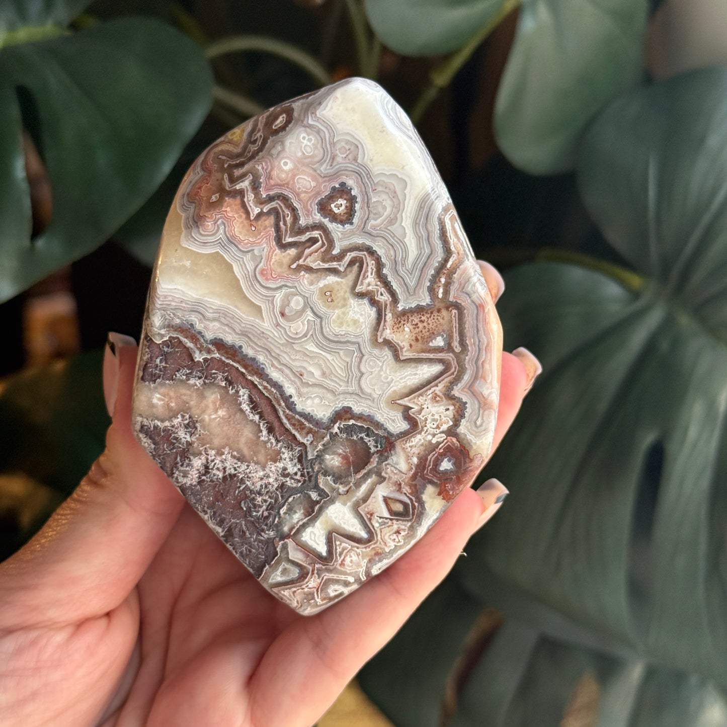 Crazy Lace Agate
