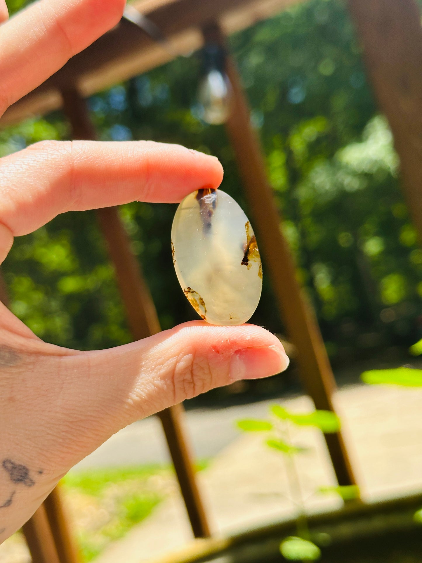 Montana Agate Cabochon