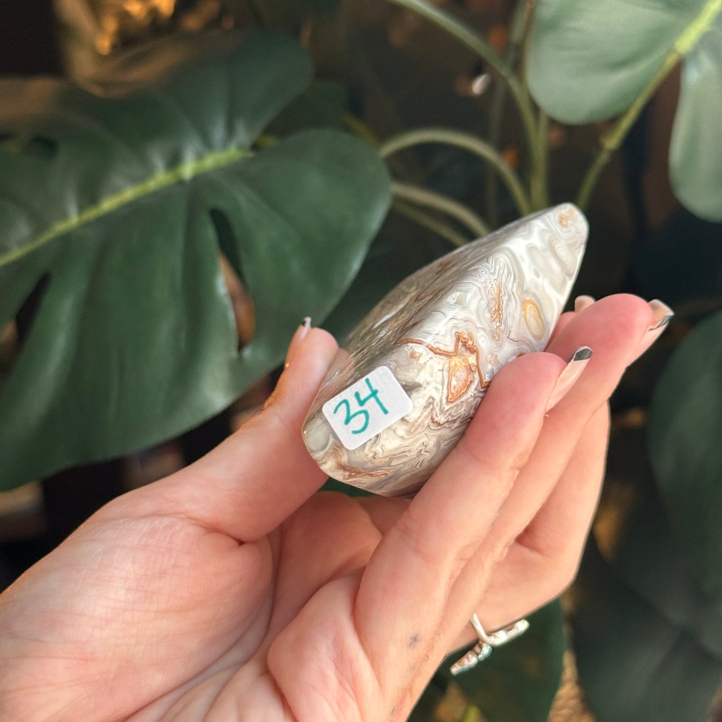 Crazy Lace Agate