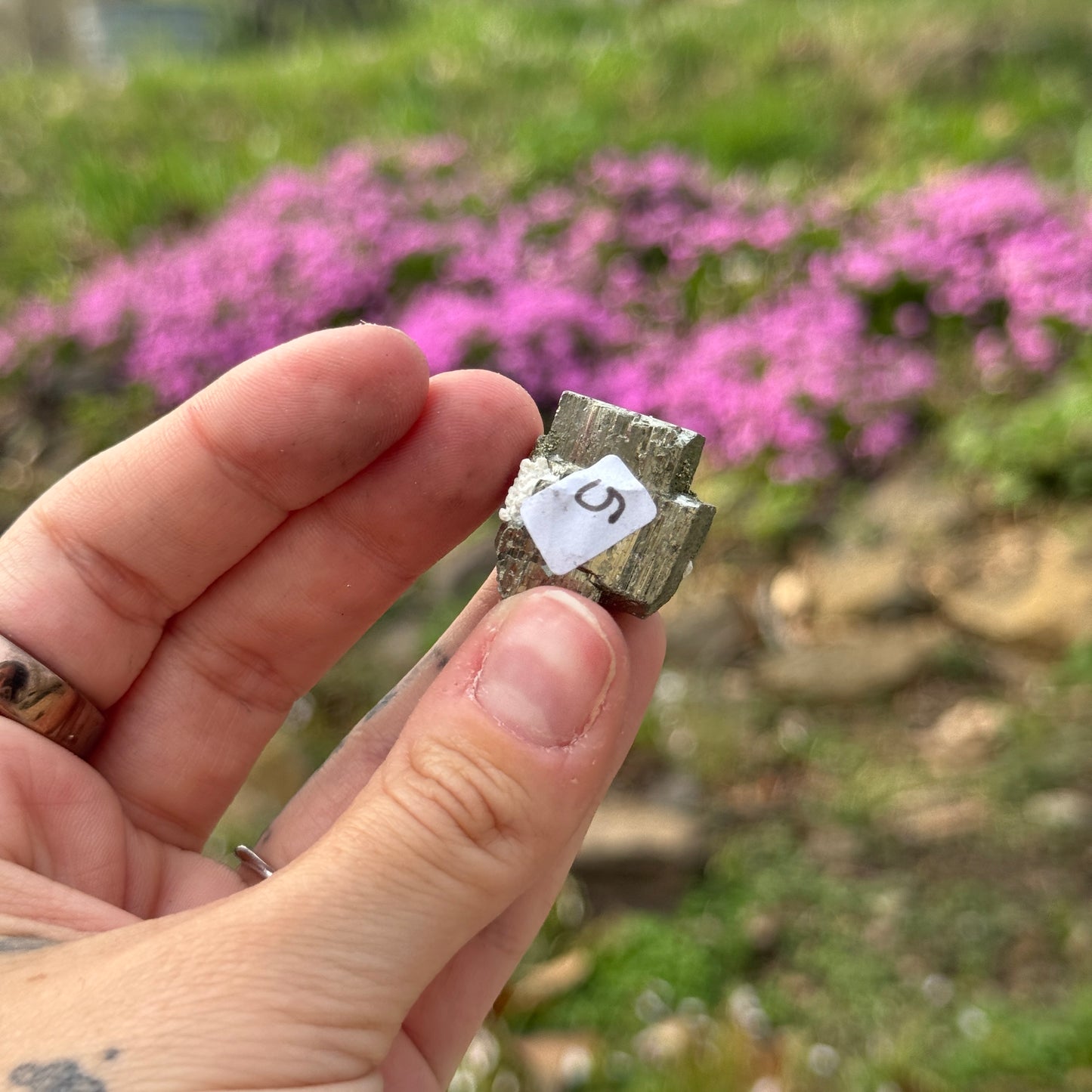 Cubic Pyrite