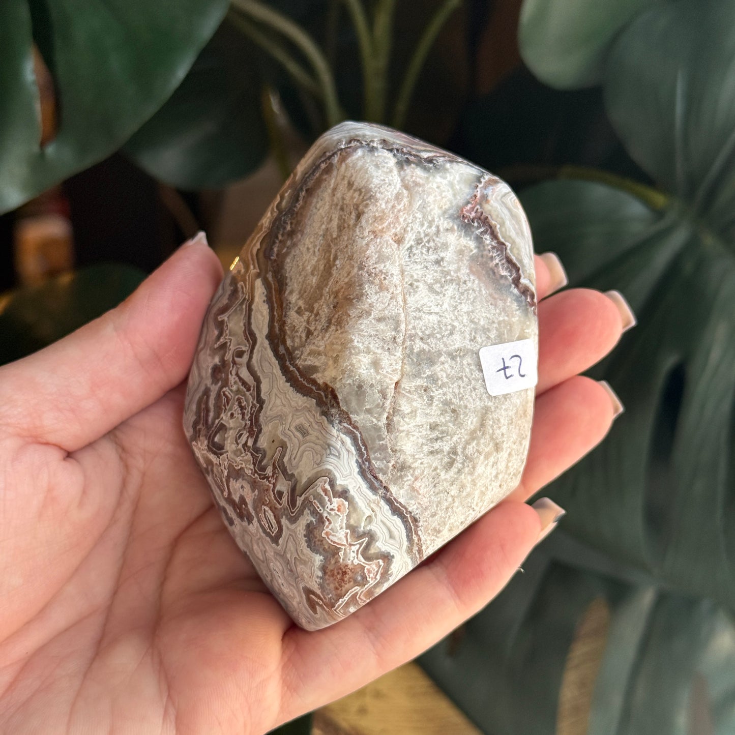 Crazy Lace Agate
