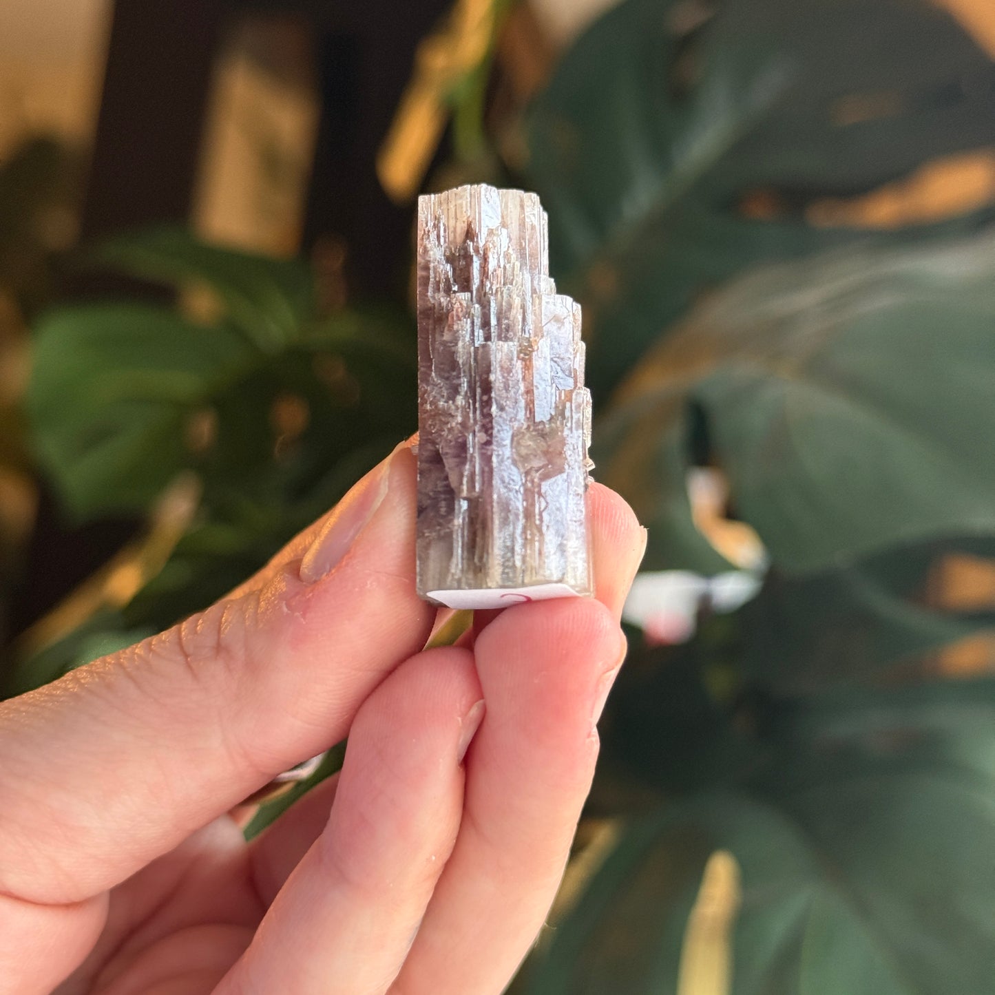 Purple Aragonite