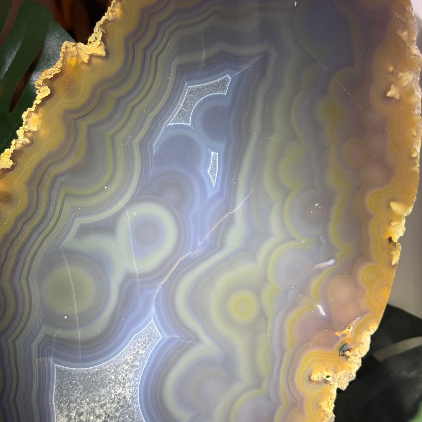 Agate on Stand - XL Statement Piece 14lbs