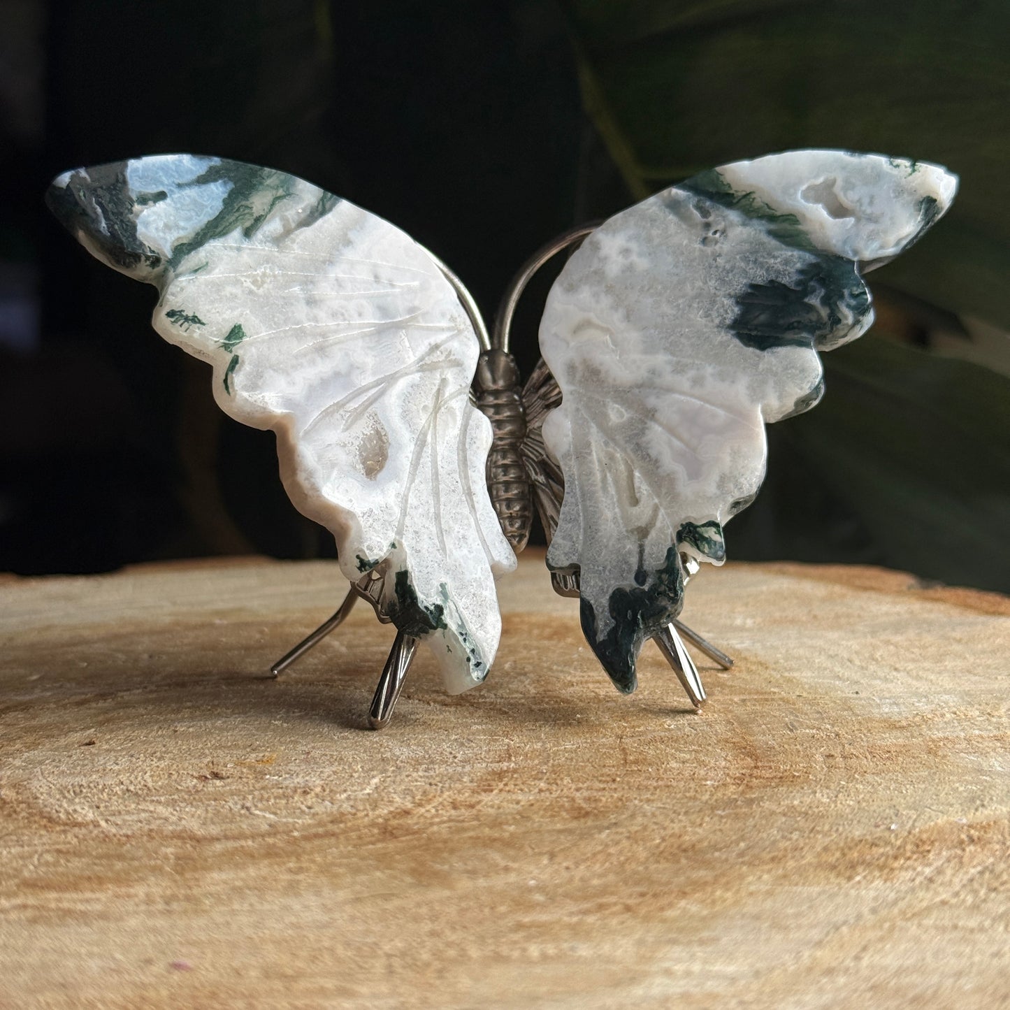 Moss Agate Butterfly F