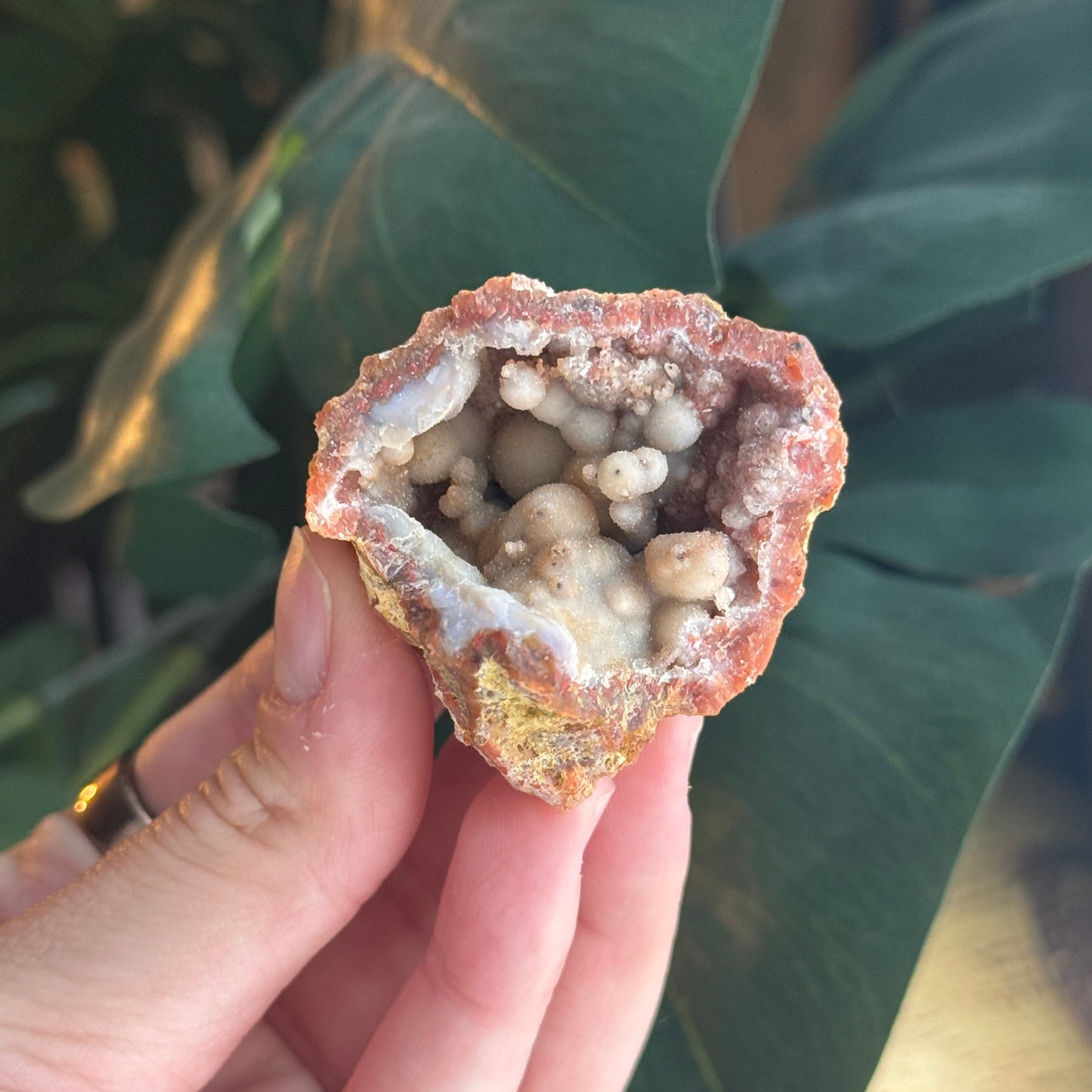 Botryoidal Chalcedony