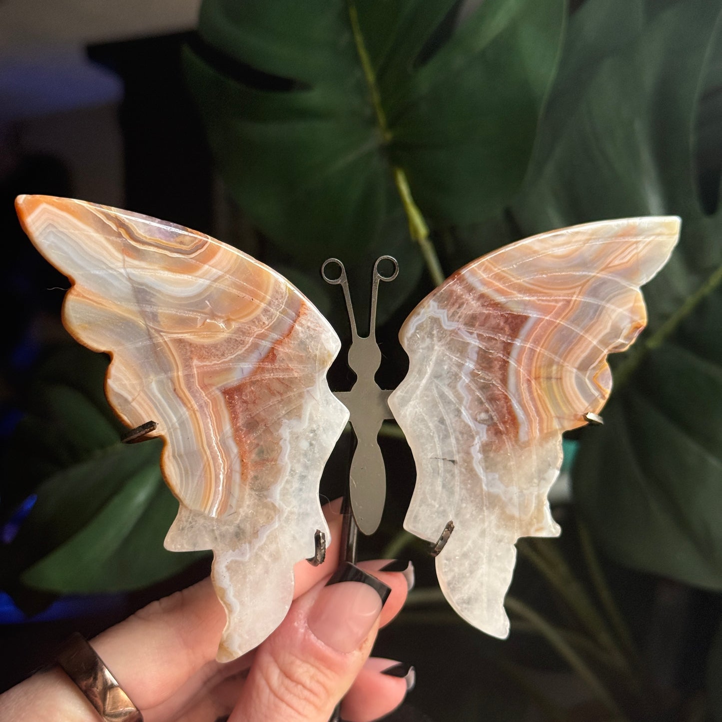 Agate Butterfly Wings on Stand D