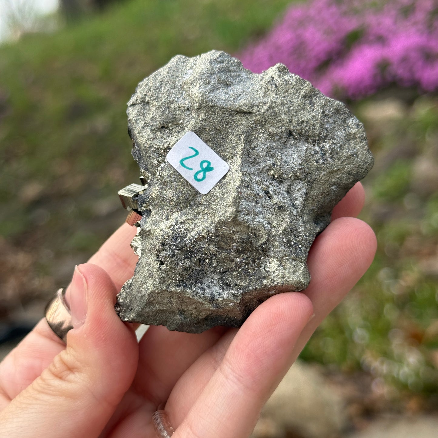 Cubic Pyrite on Matrix