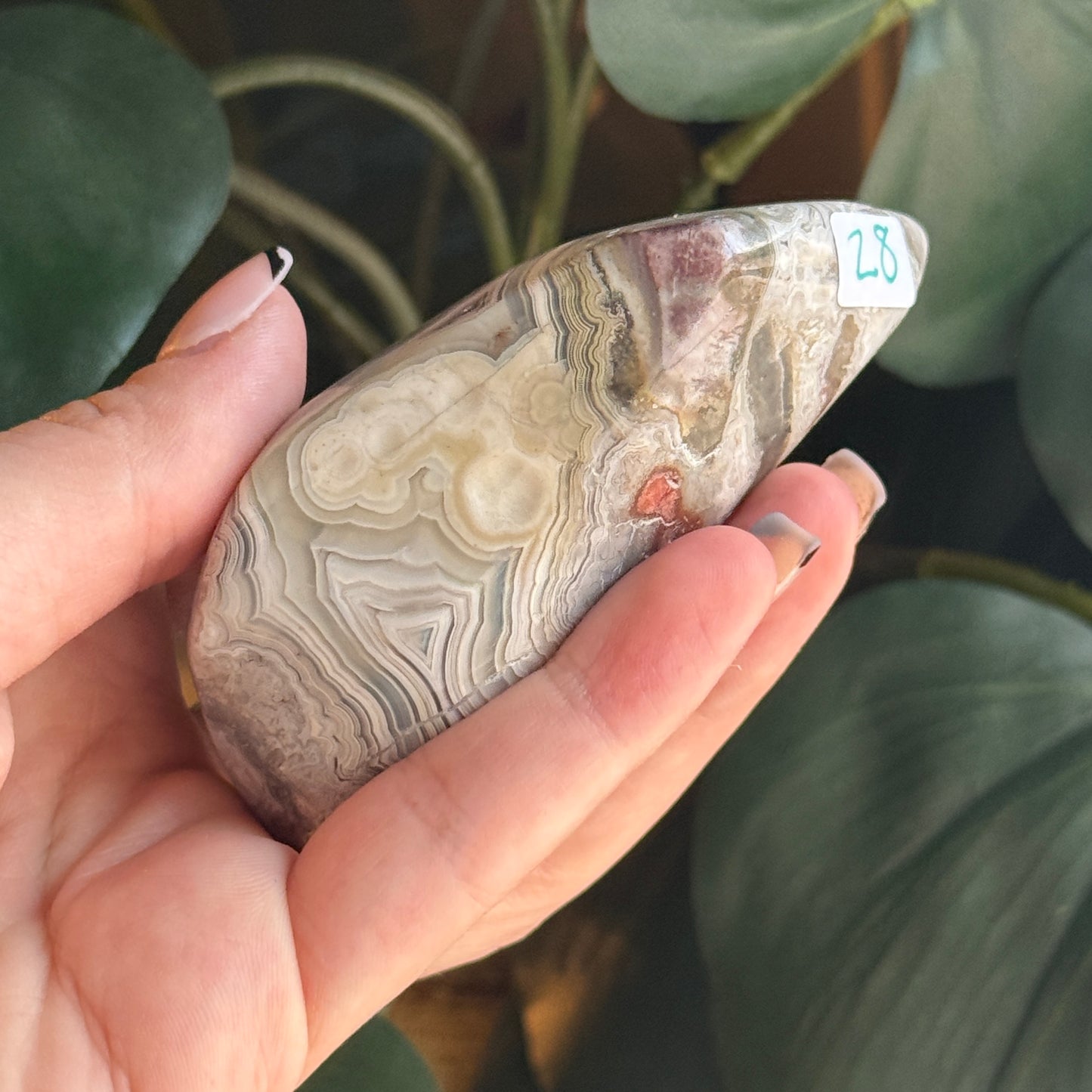 Crazy Lace Agate