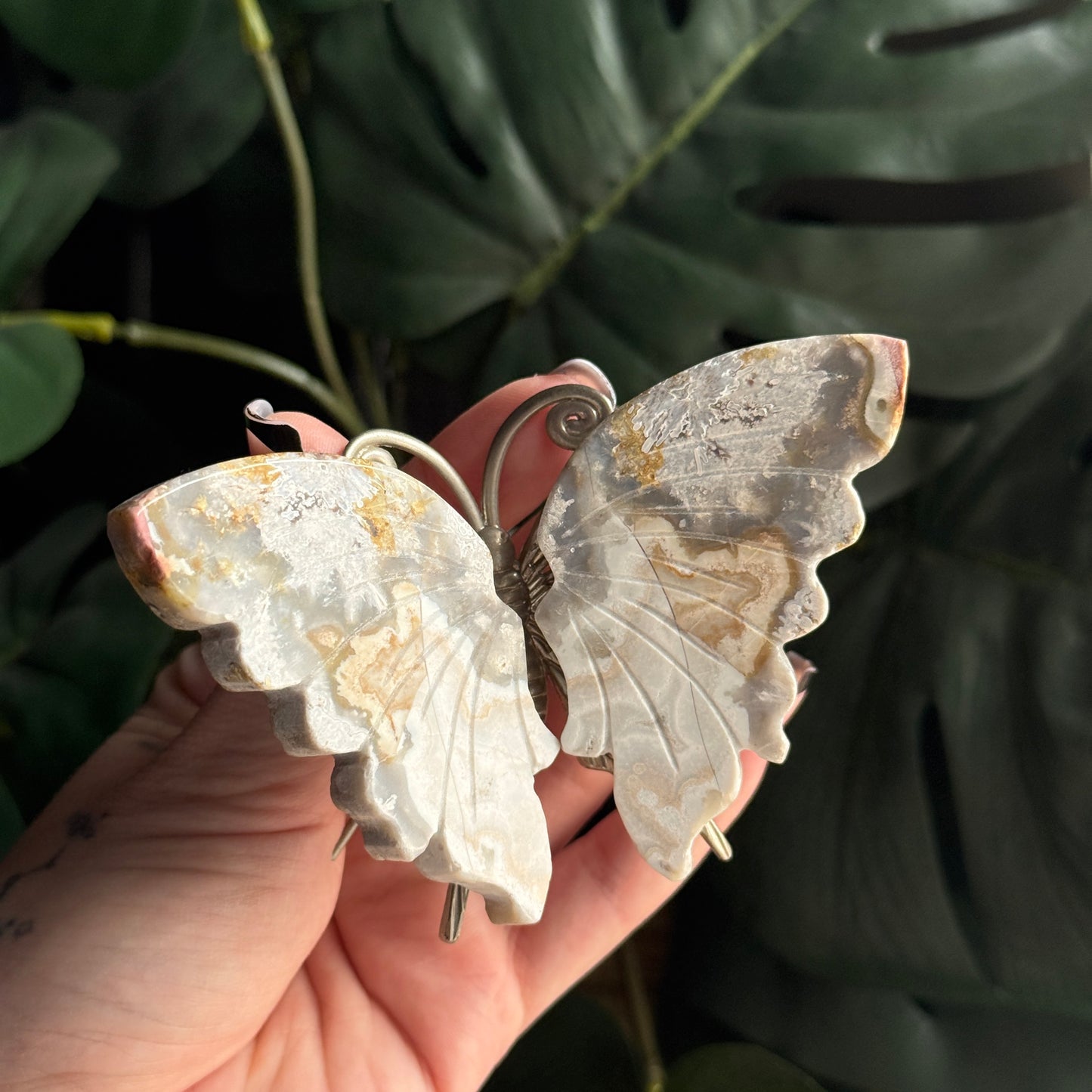 Crazy Lace Agate Butterfly i