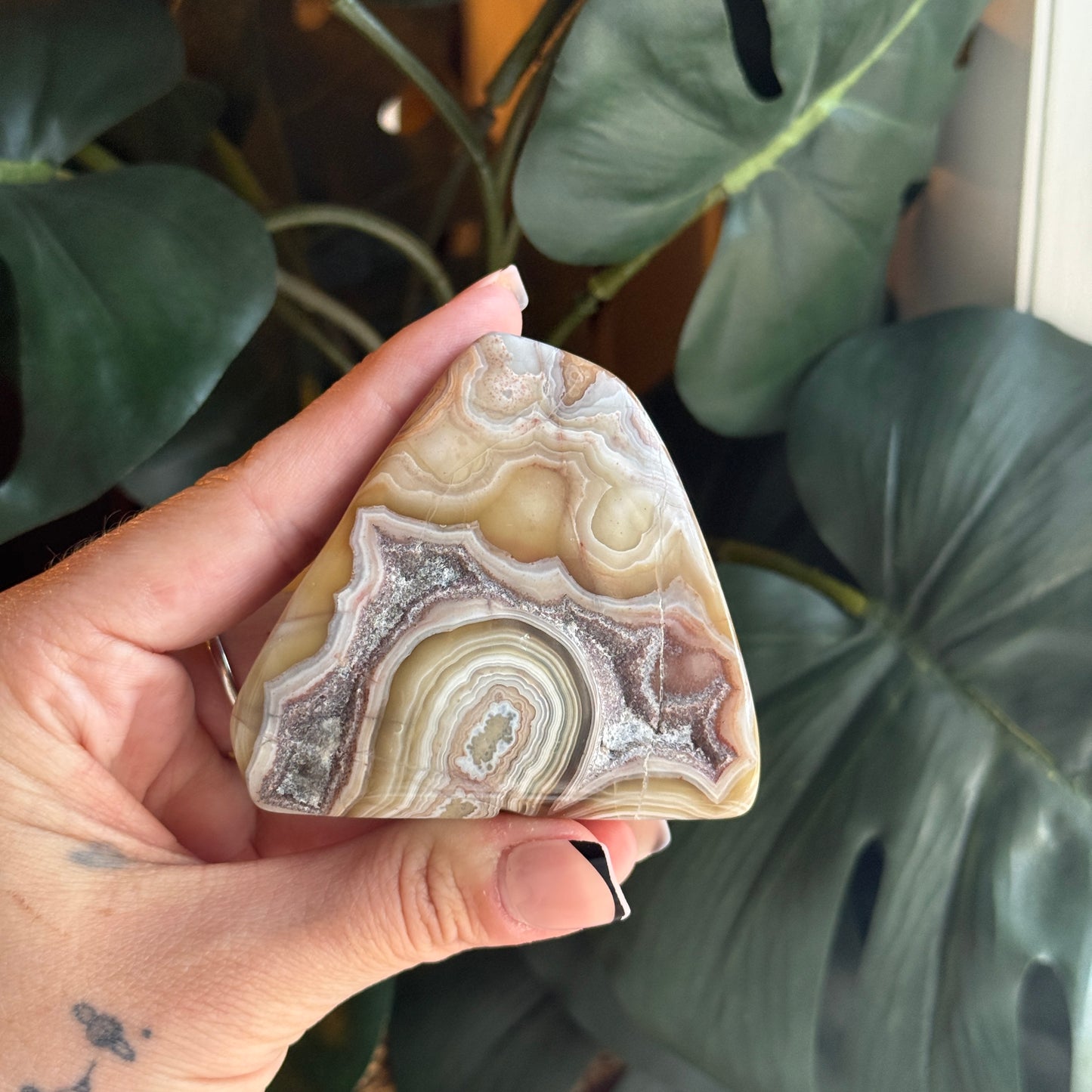 Crazy Lace Agate