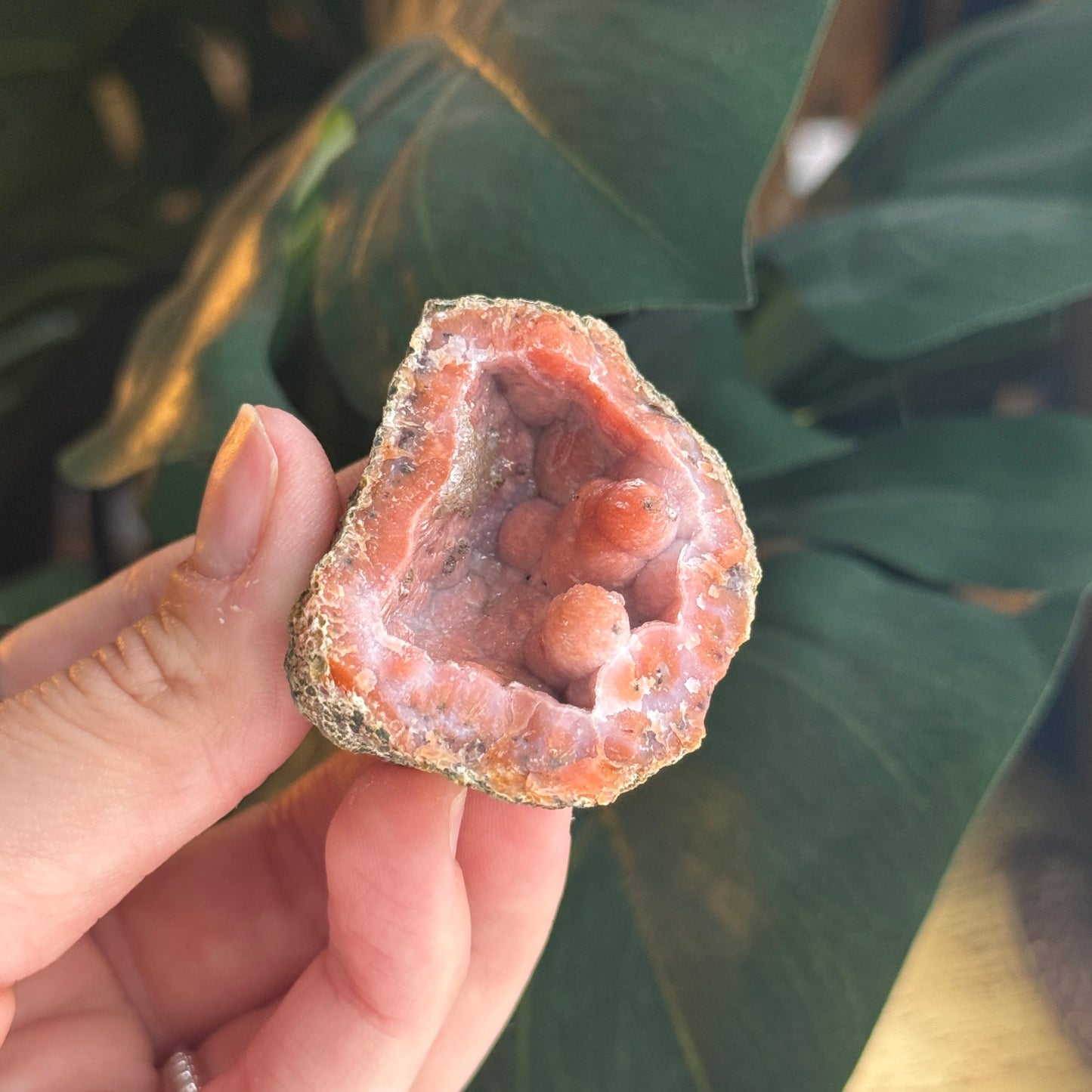 Botryoidal Chalcedony