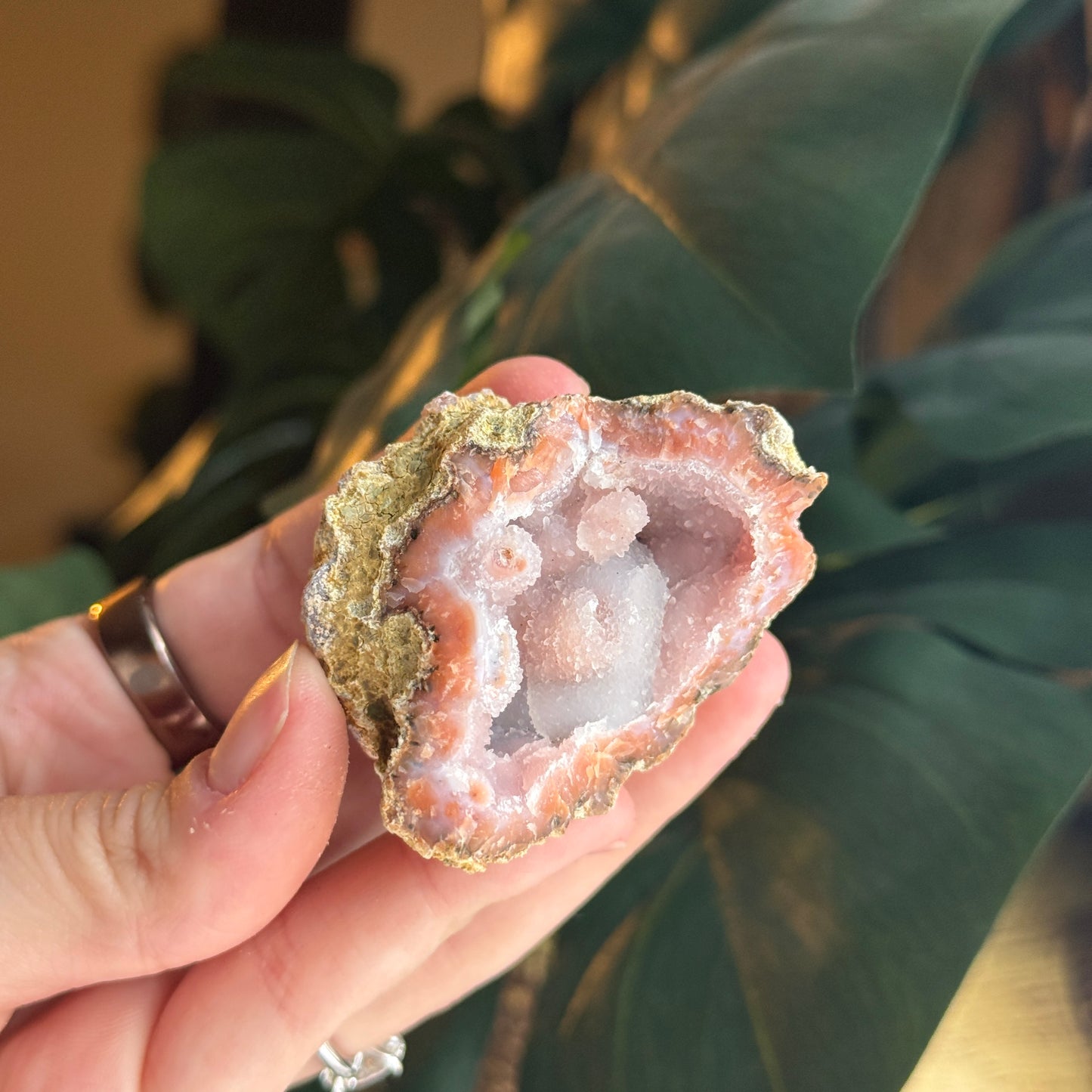 Botryoidal Chalcedony
