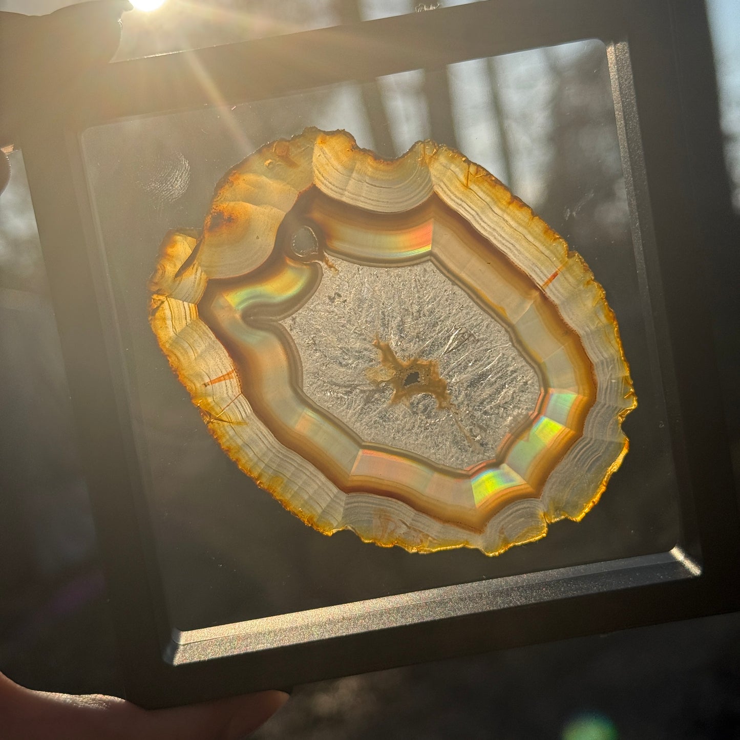 Iris Agate B