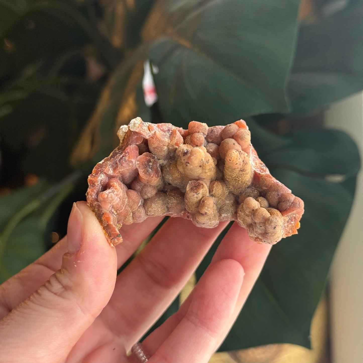 Botryoidal Chalcedony