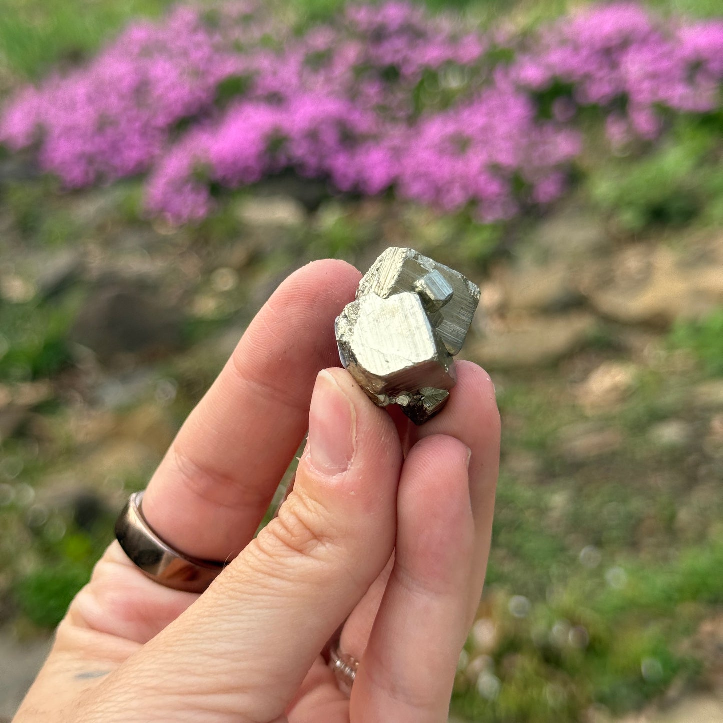 Cubic Pyrite