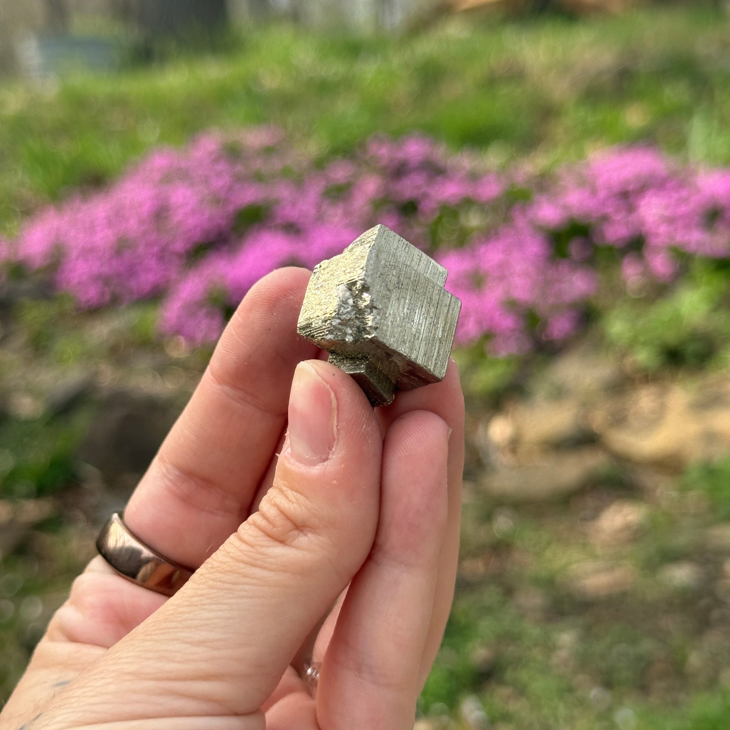 Cubic Pyrite