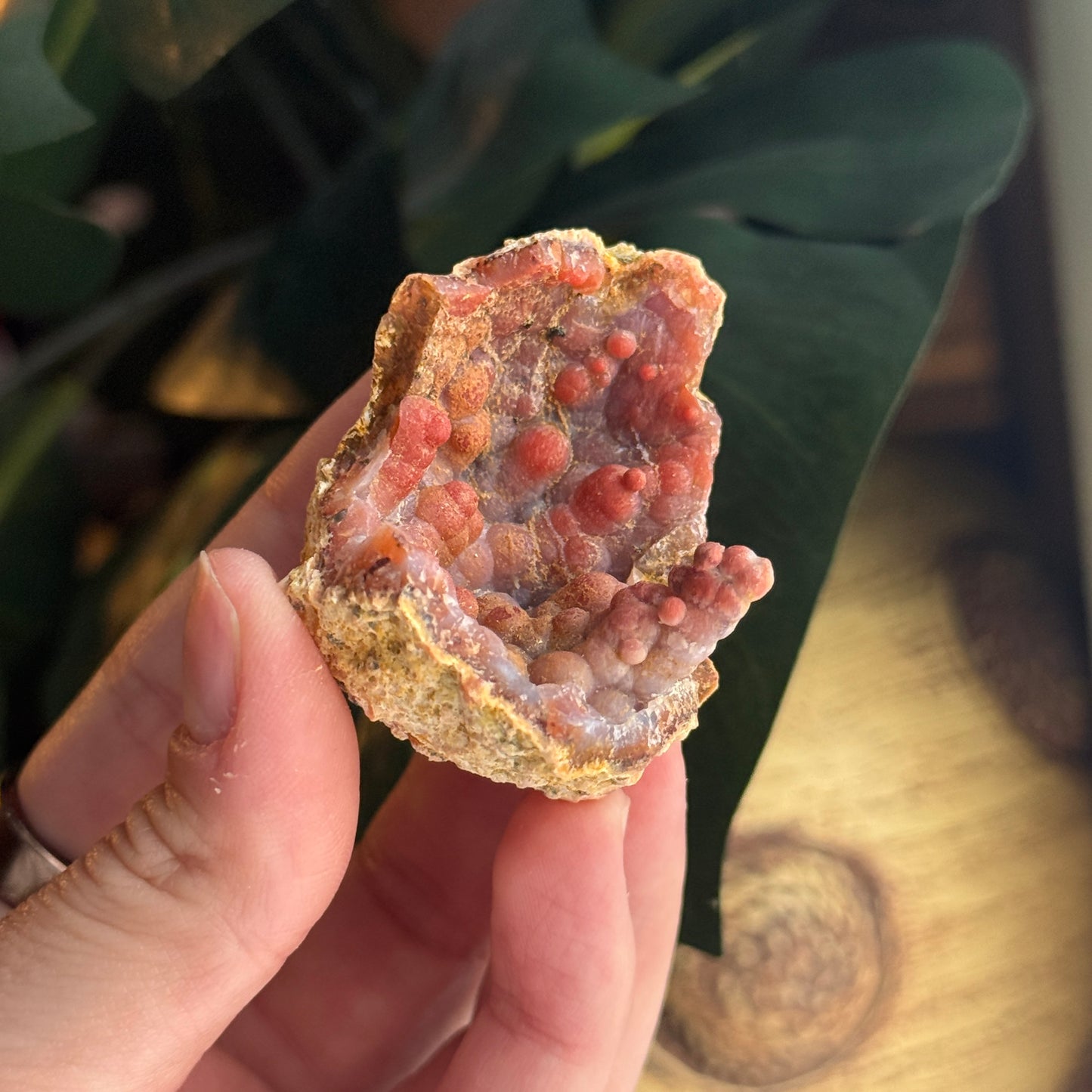 Botryoidal Chalcedony Stalactite