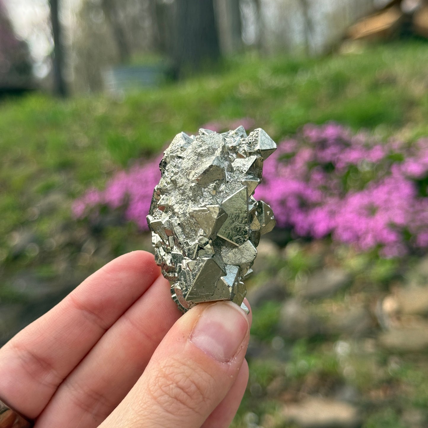 Cubic Pyrite