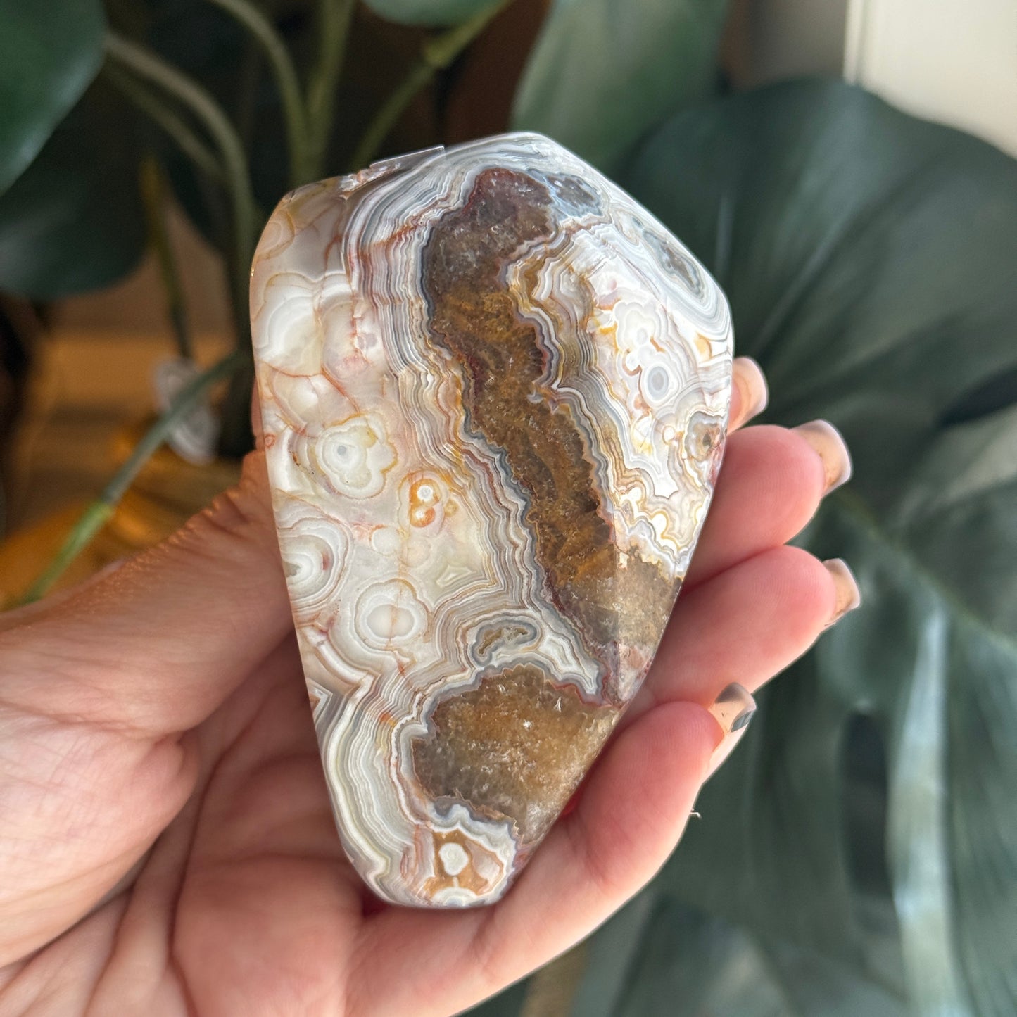 Crazy Lace Agate