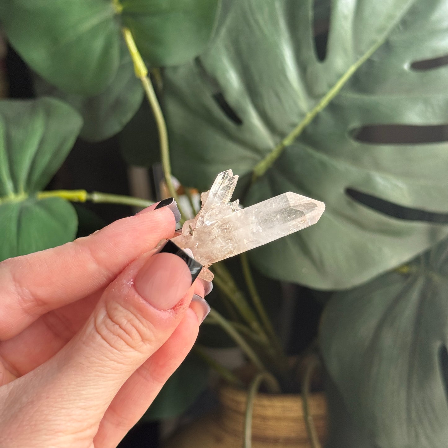 Epidote on Quartz