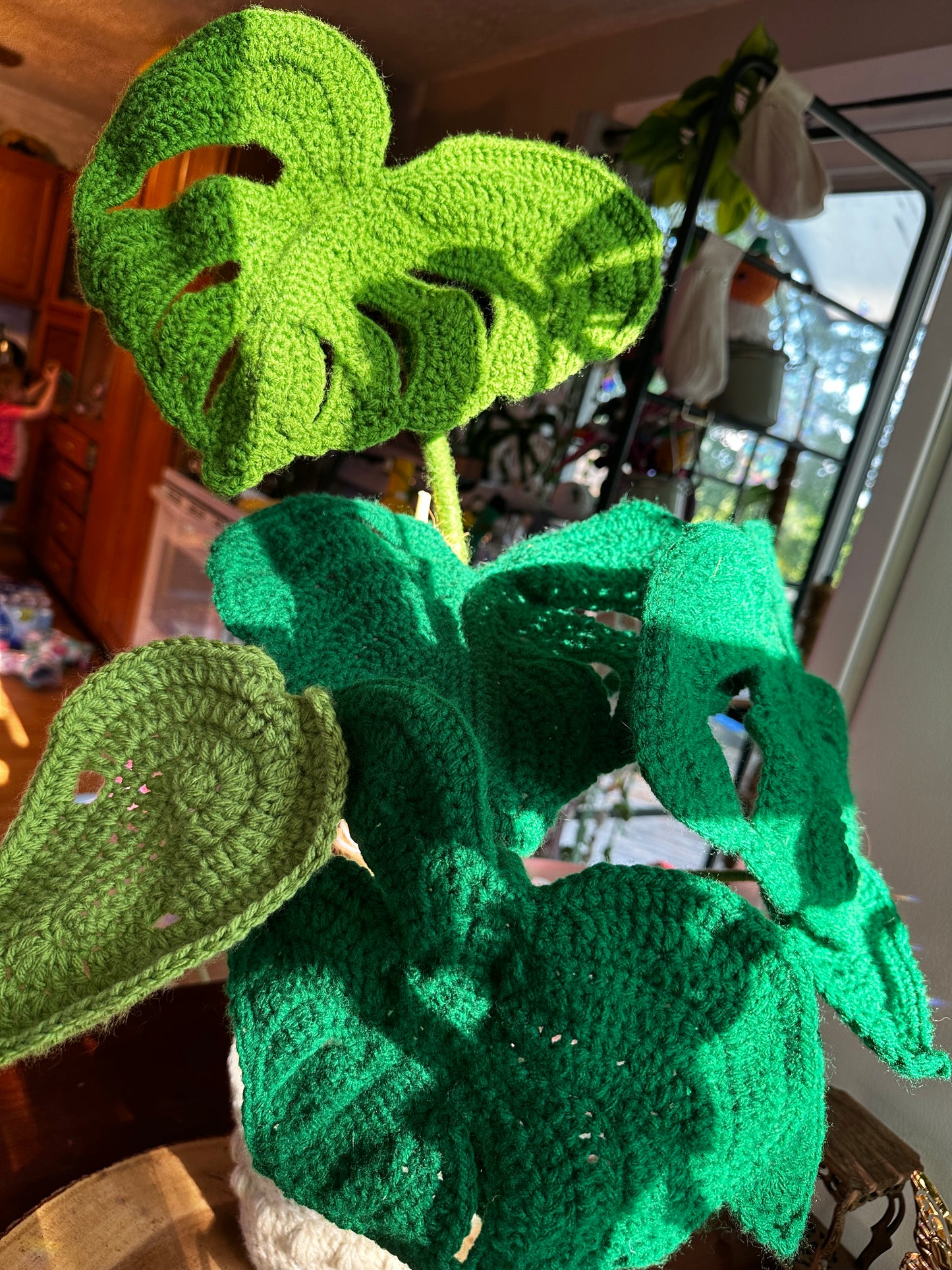 Crochet Monstera