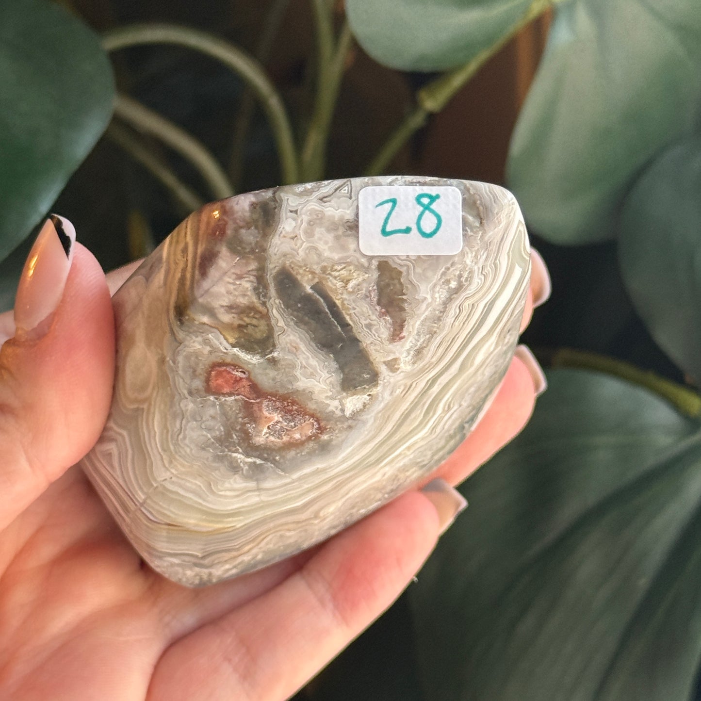 Crazy Lace Agate