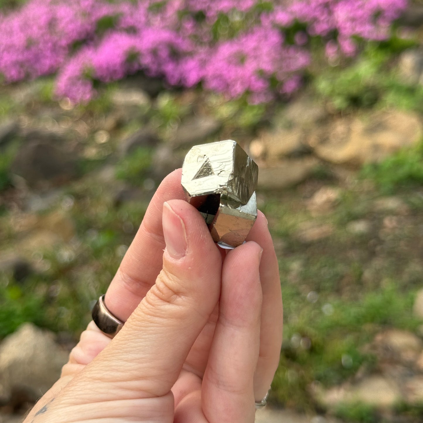 Cubic Pyrite