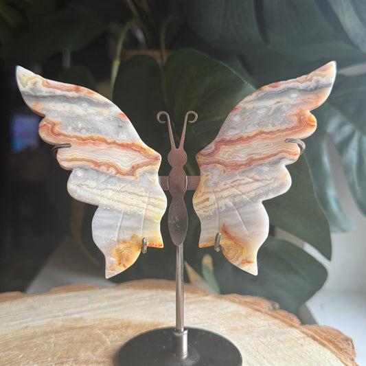 Crazy Lace Agate Butterfly Wings on Stand E
