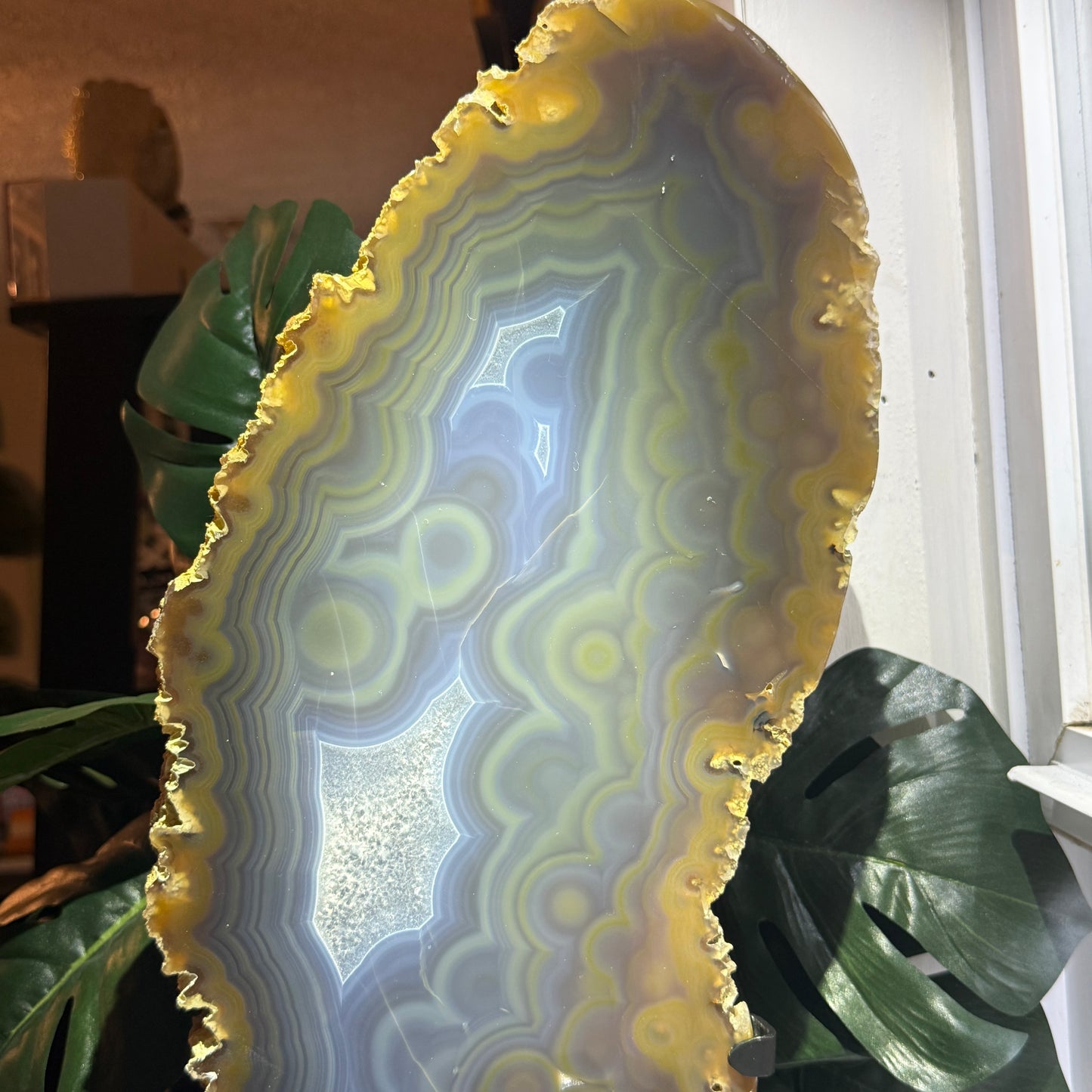 Agate on Stand - XL Statement Piece 14lbs