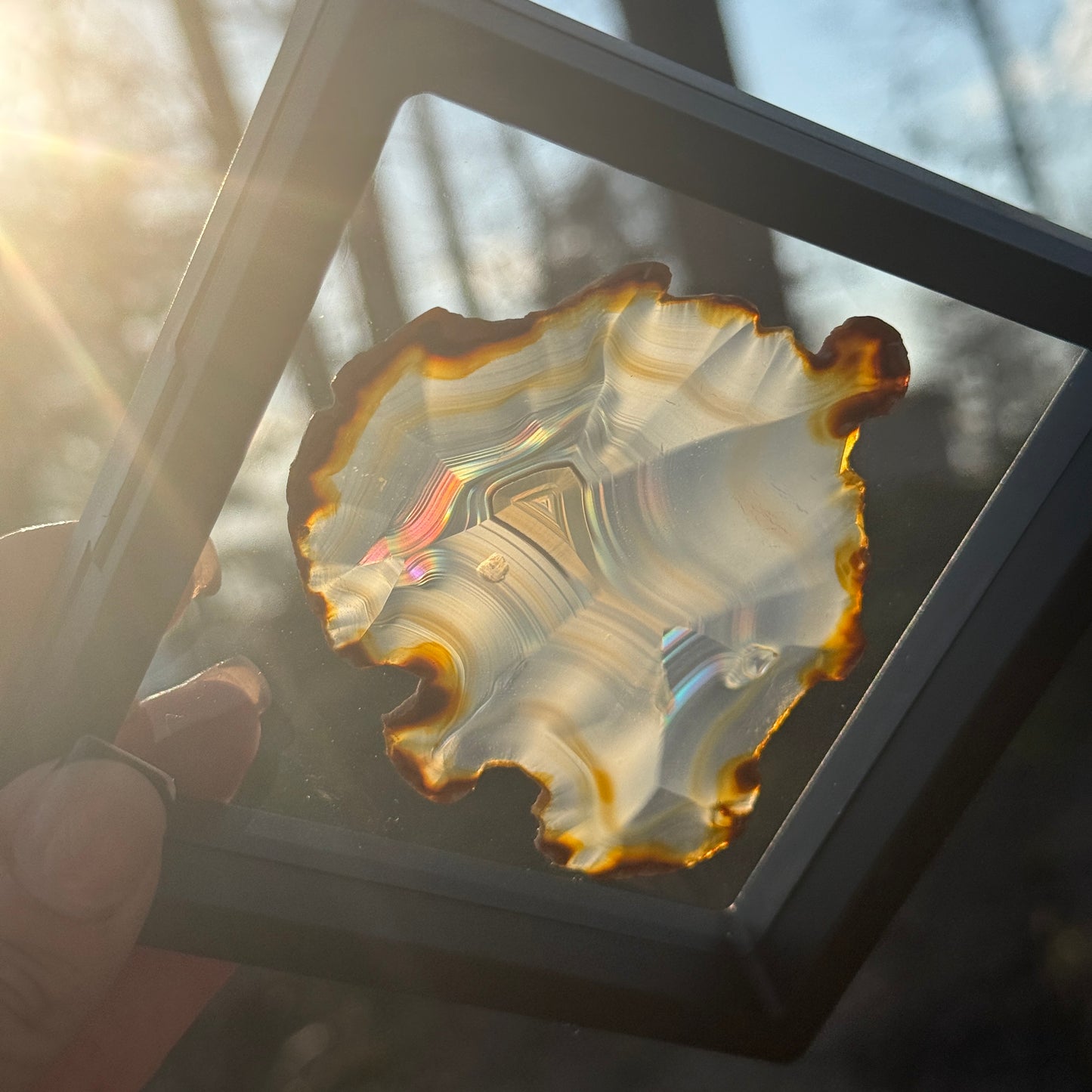Iris Agate C