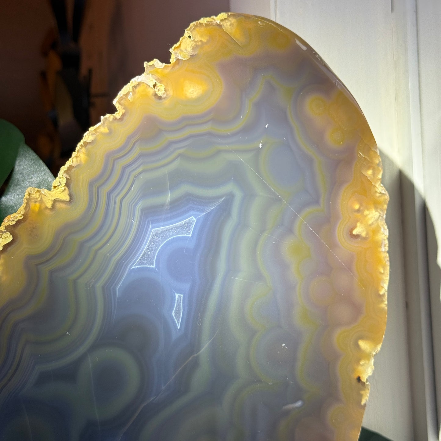 Agate on Stand - XL Statement Piece 14lbs