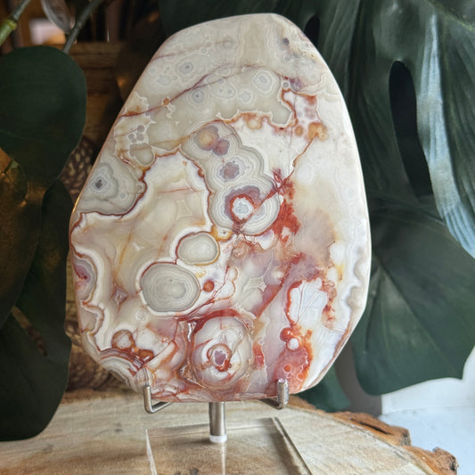 Crazy Lace Agate *comes with stand*